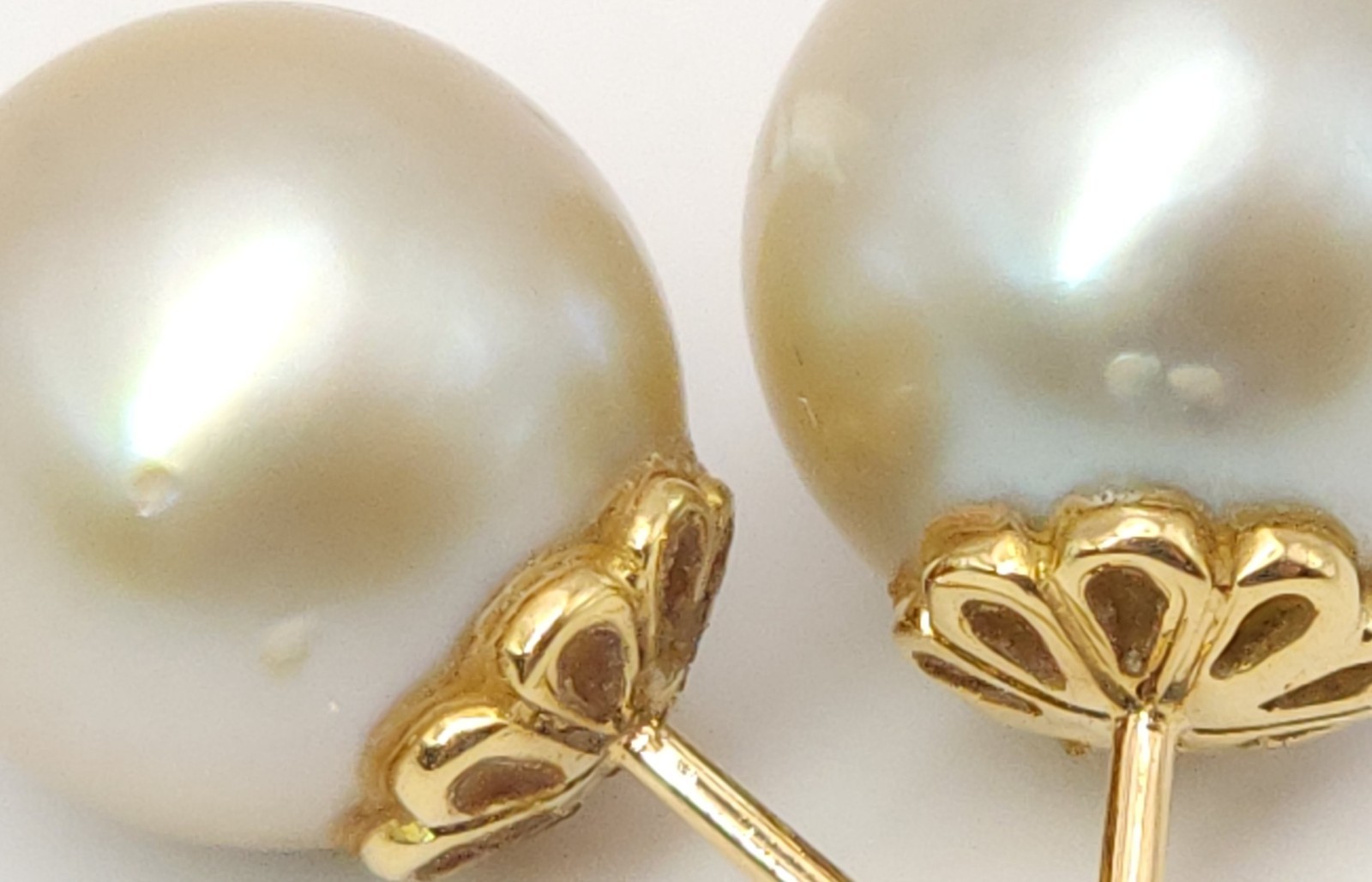 18K Yellow Gold South Sea Cultured Cream Champagne Pearl 12mm Stud Earrings 7g