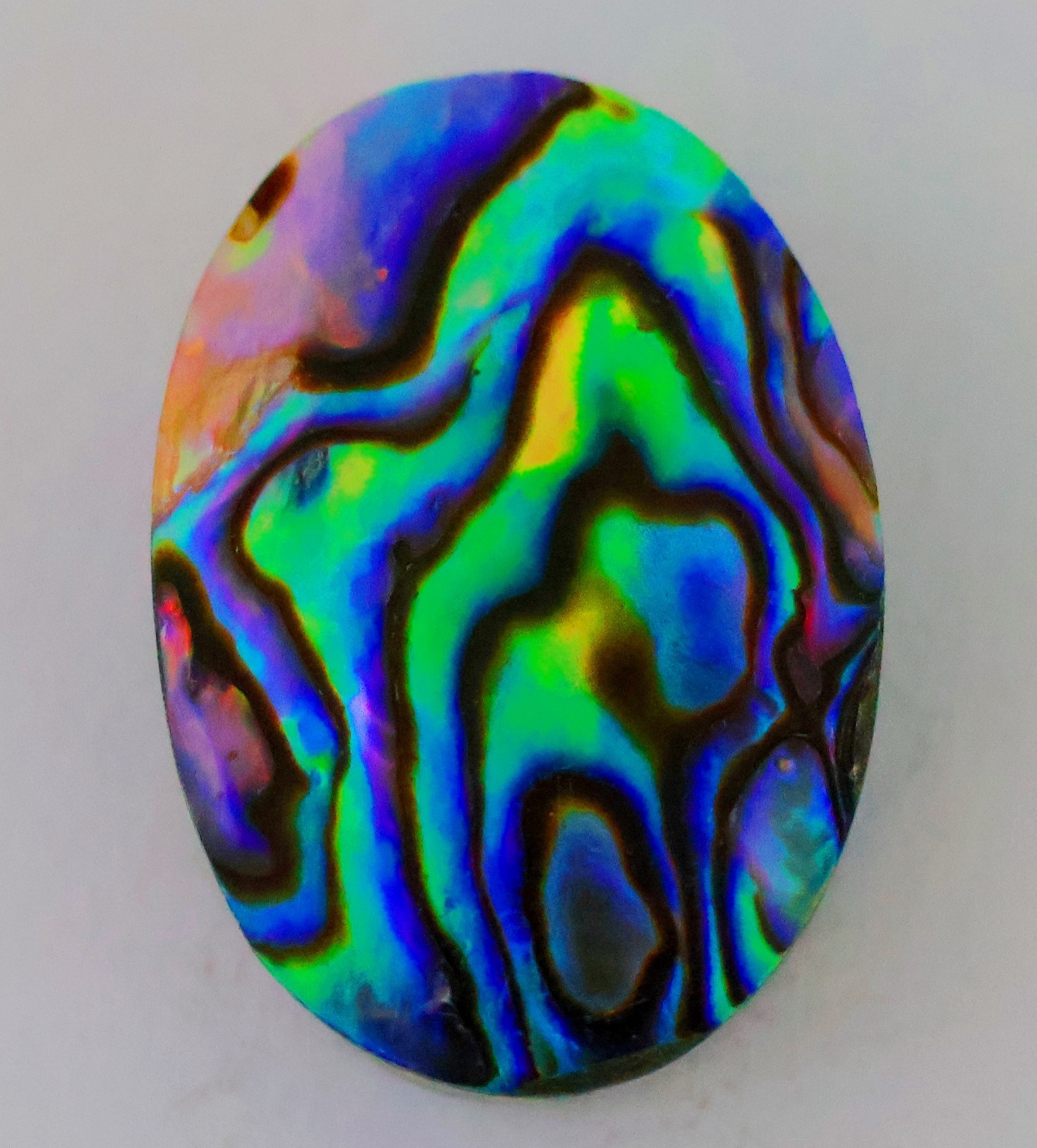 32 Ct 7X18X26 mm Natural Multi Fire Abalone Shell Oval Cabochon Gemstone KQ-246