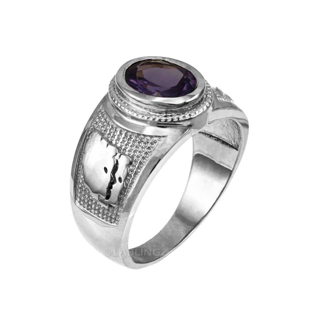 Sterling Silver Zodiac Sign Birthstone CZ Ring