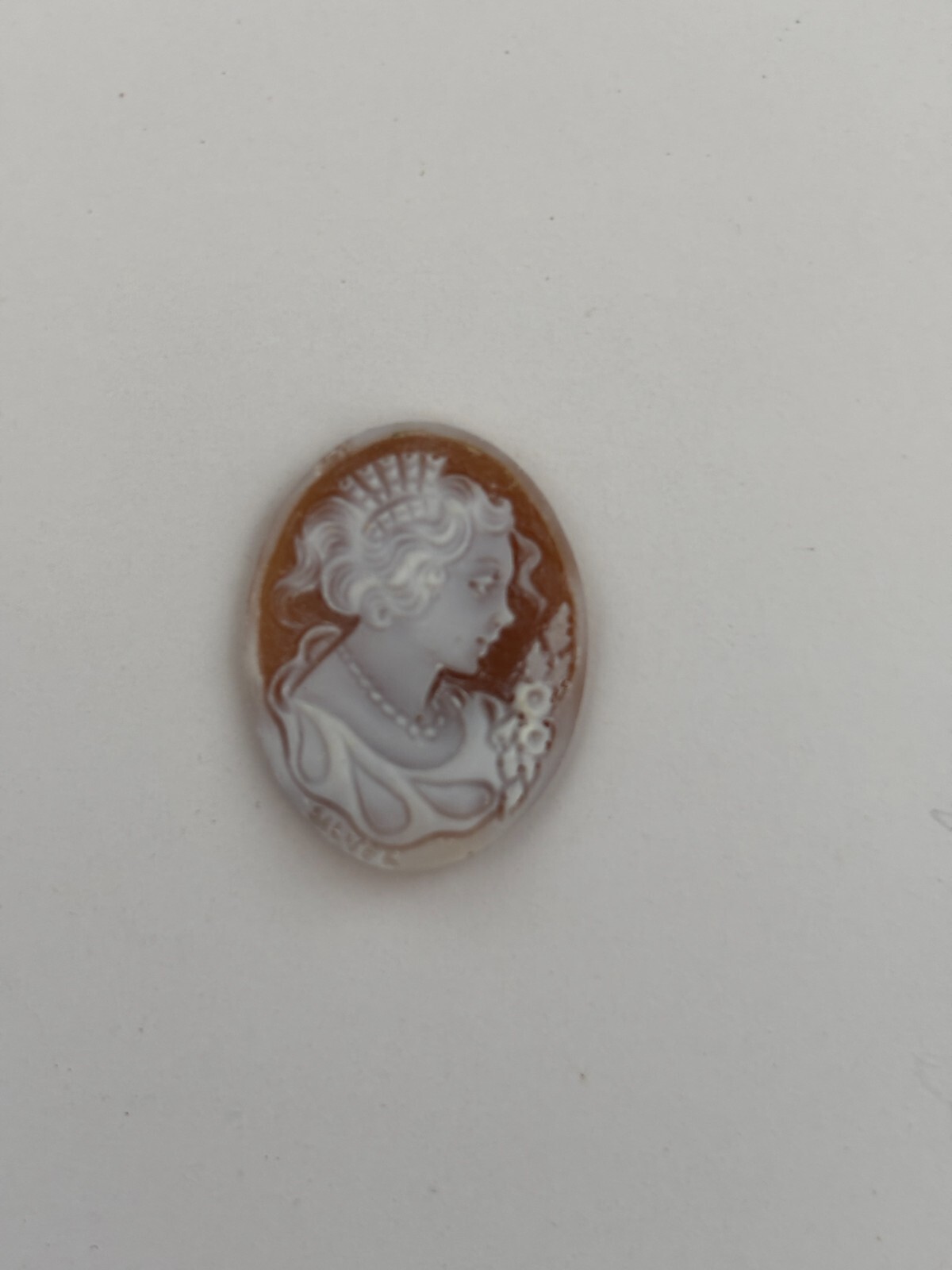 AMAZING SHELL CAMEO HANDMADE