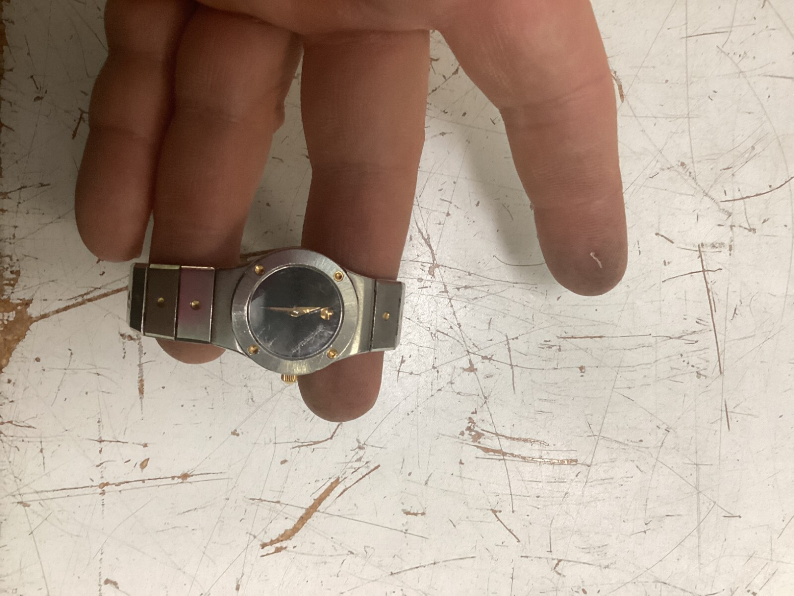 Zenith Pacific Museum Womens Silver Stainless Steel Analog Dial Quartz Watch