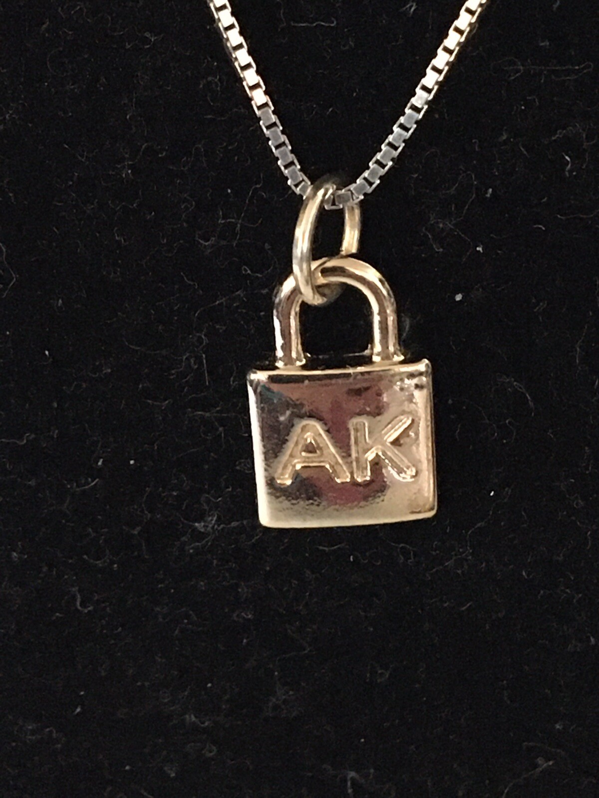 Woman’s designer necklace 925 silver 16 or 18 inches chain Ann Klein pendant 