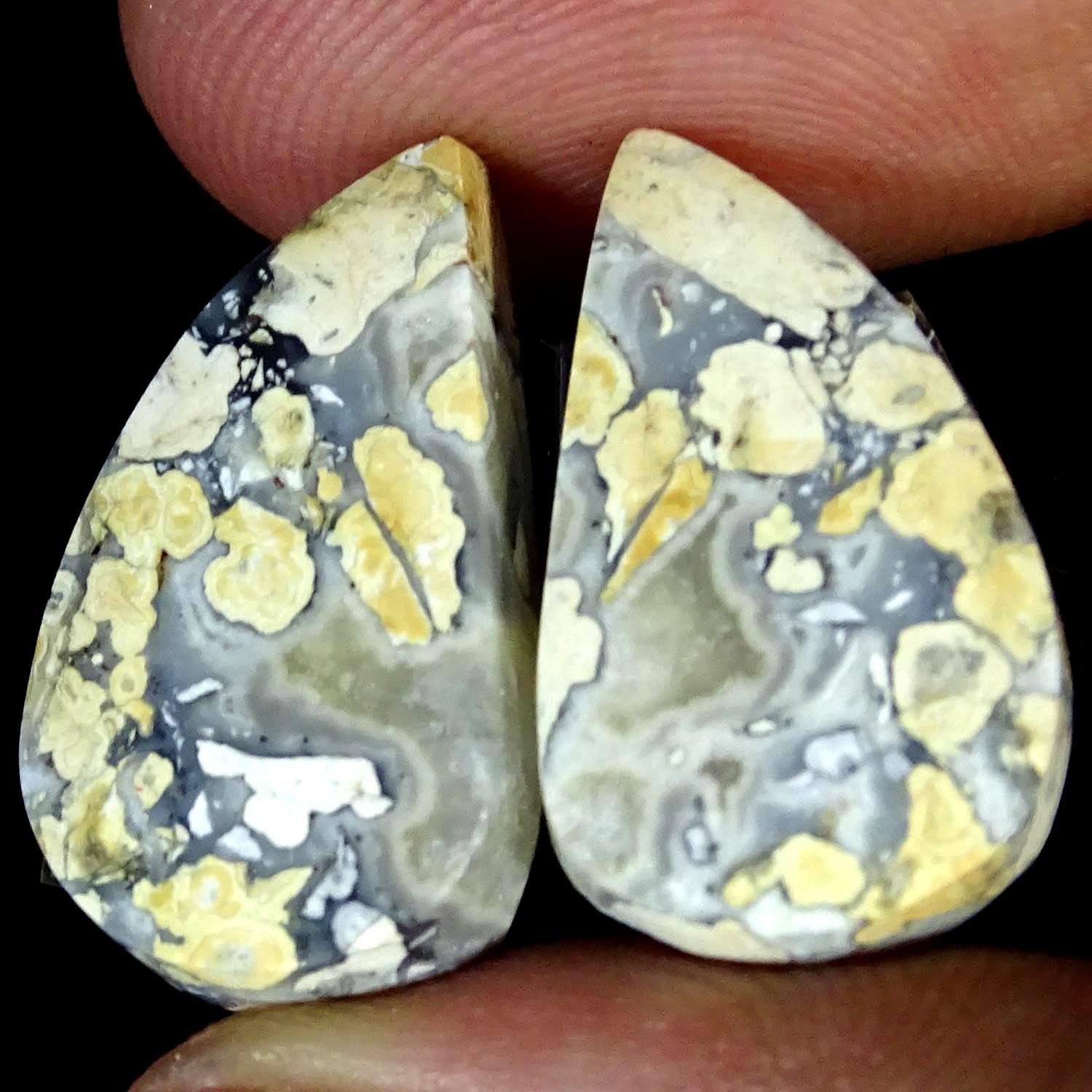 20.50Cts A+ Natural Maligano Jasper Pair Fancy Cabochon Gemstone 12X20X4MM