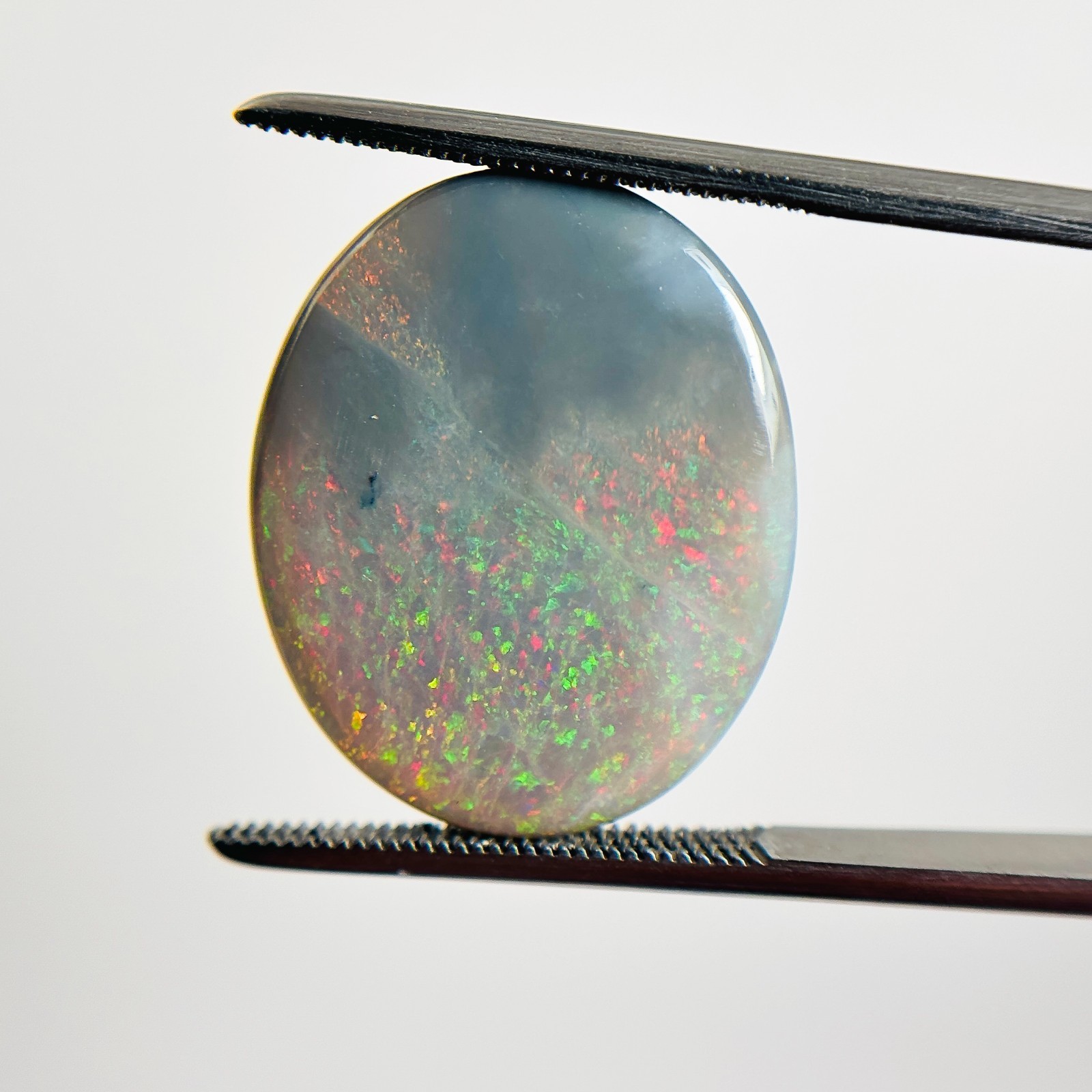 Semi Black Opal Multicolour 21x17x5.5 Cabochon Oval 11.90 Carat OPAL115