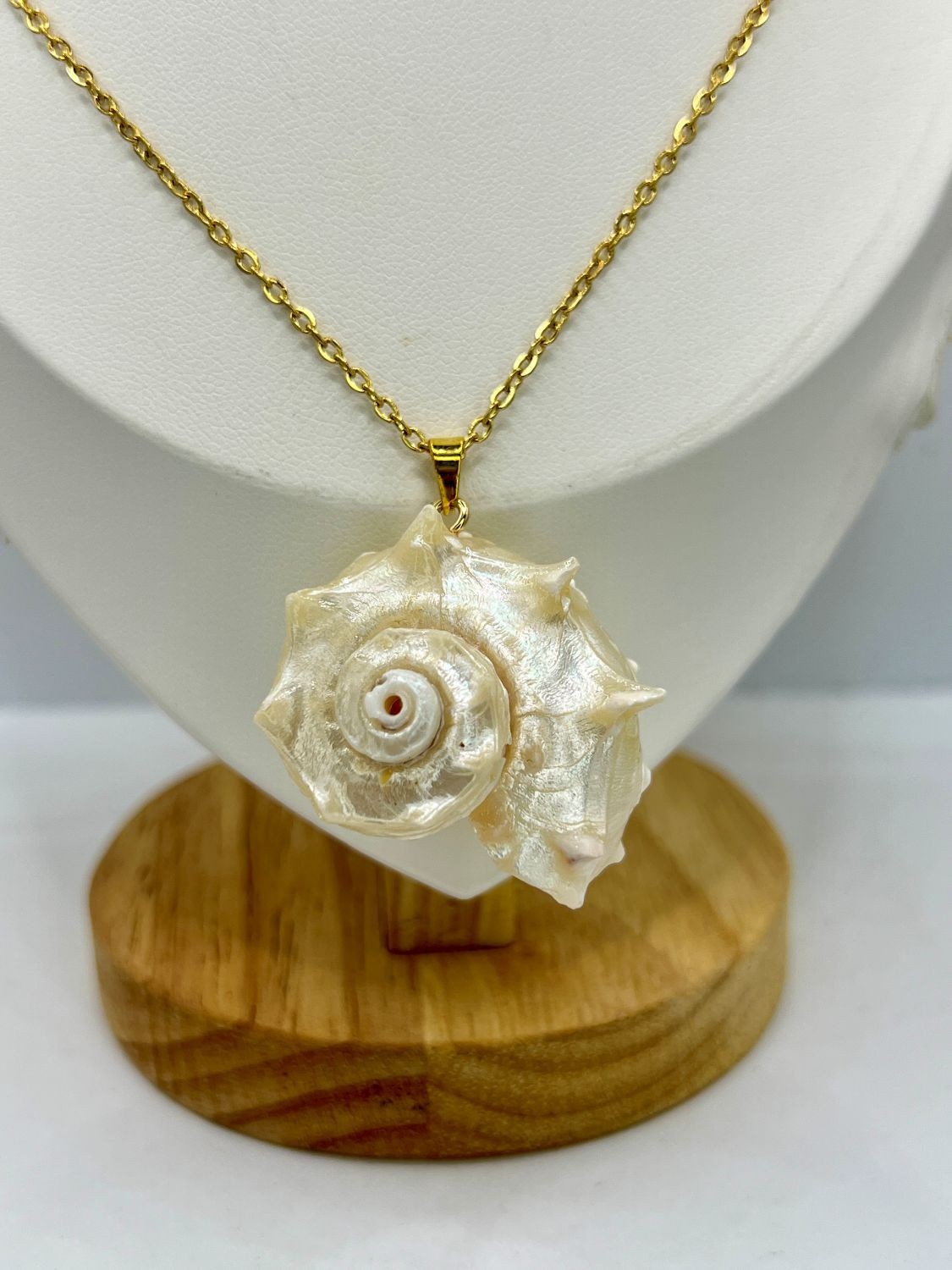 Seashell Gold Chain Necklace