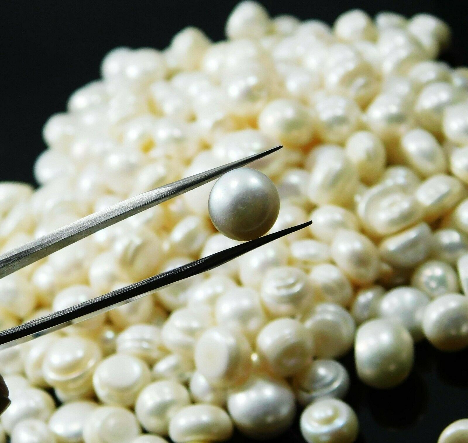 Natural Pearl White 500 Carat Cabochon Cut Loose Gemstone Lot CERTIFIED