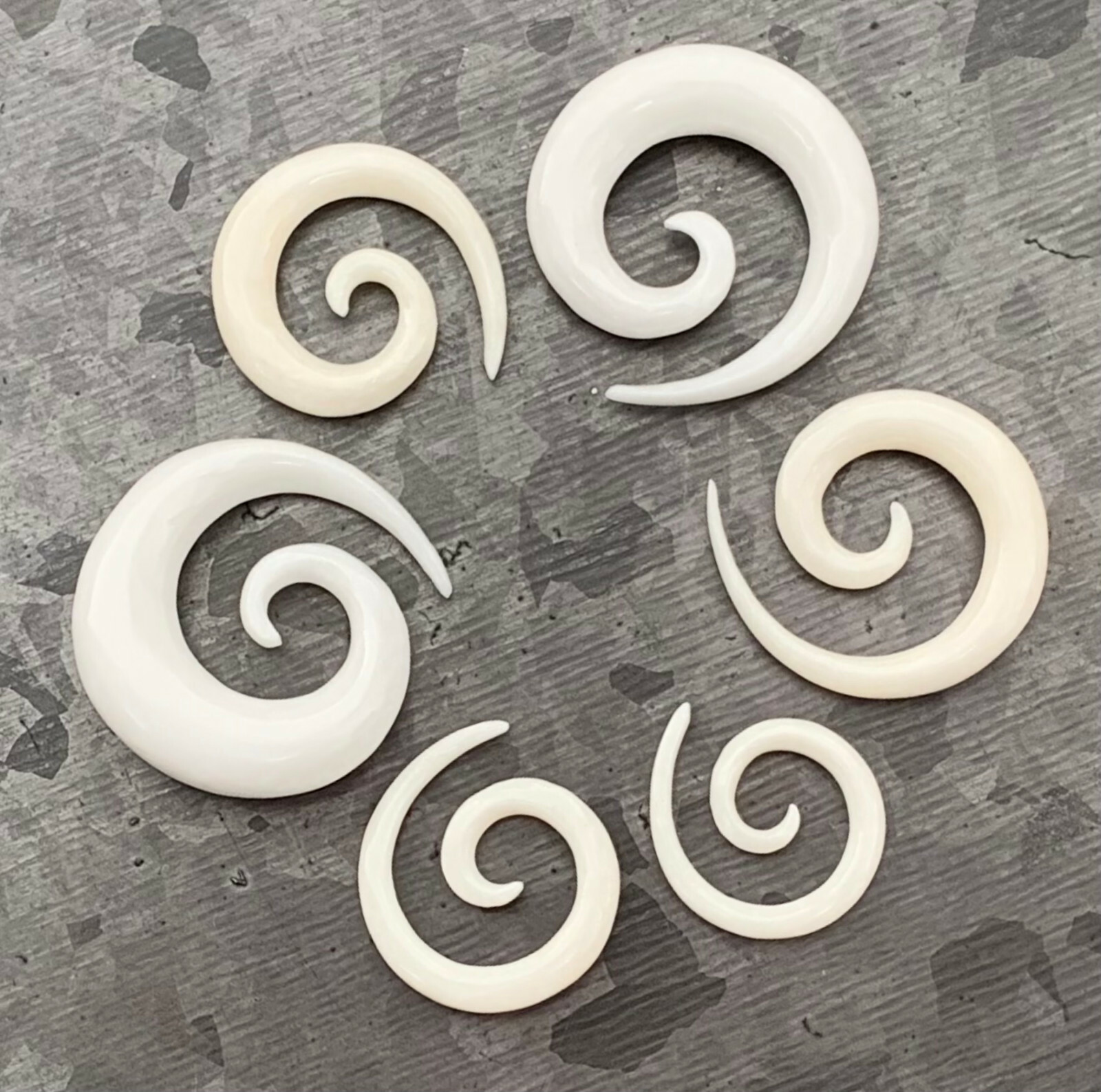 PAIR Buffalo Bone Spiral Tapers Plugs Expanders Organic Gauges Body Jewelry