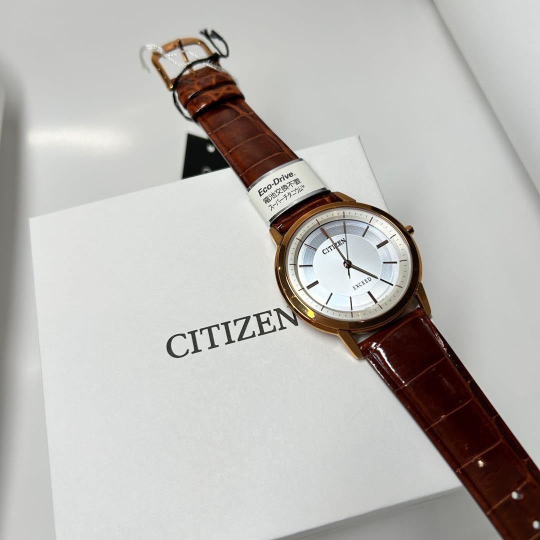 New Somewhat Defective Item CITIZEN EXCEED AR4002 17A