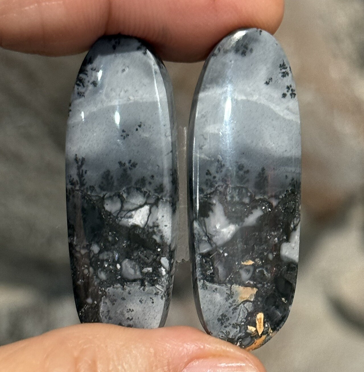 59ct 41×14.5×4.8mm Pair Fine Gray Scenic Oval Picture Maligano Jasper Cabochons