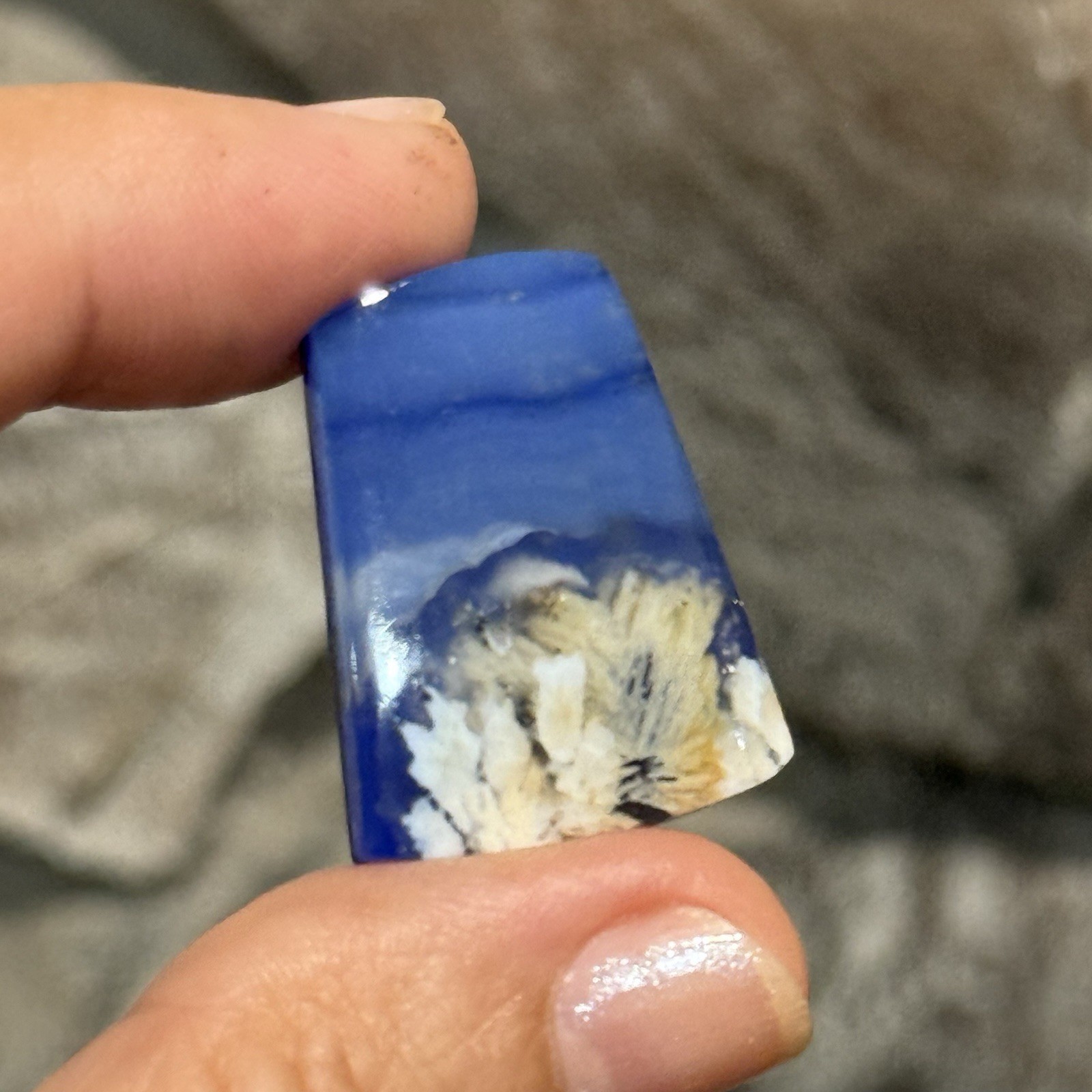 32.3ct 28x21x5mm Flower Plume Agate And Lapis Lazuli Doublet Cabochon Gem