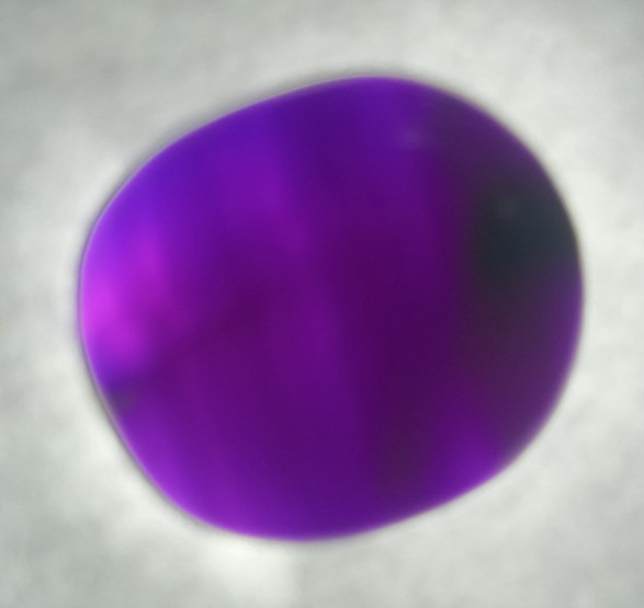 AAA Sugilite Gel Cab 10.38 Carats- High Grade
