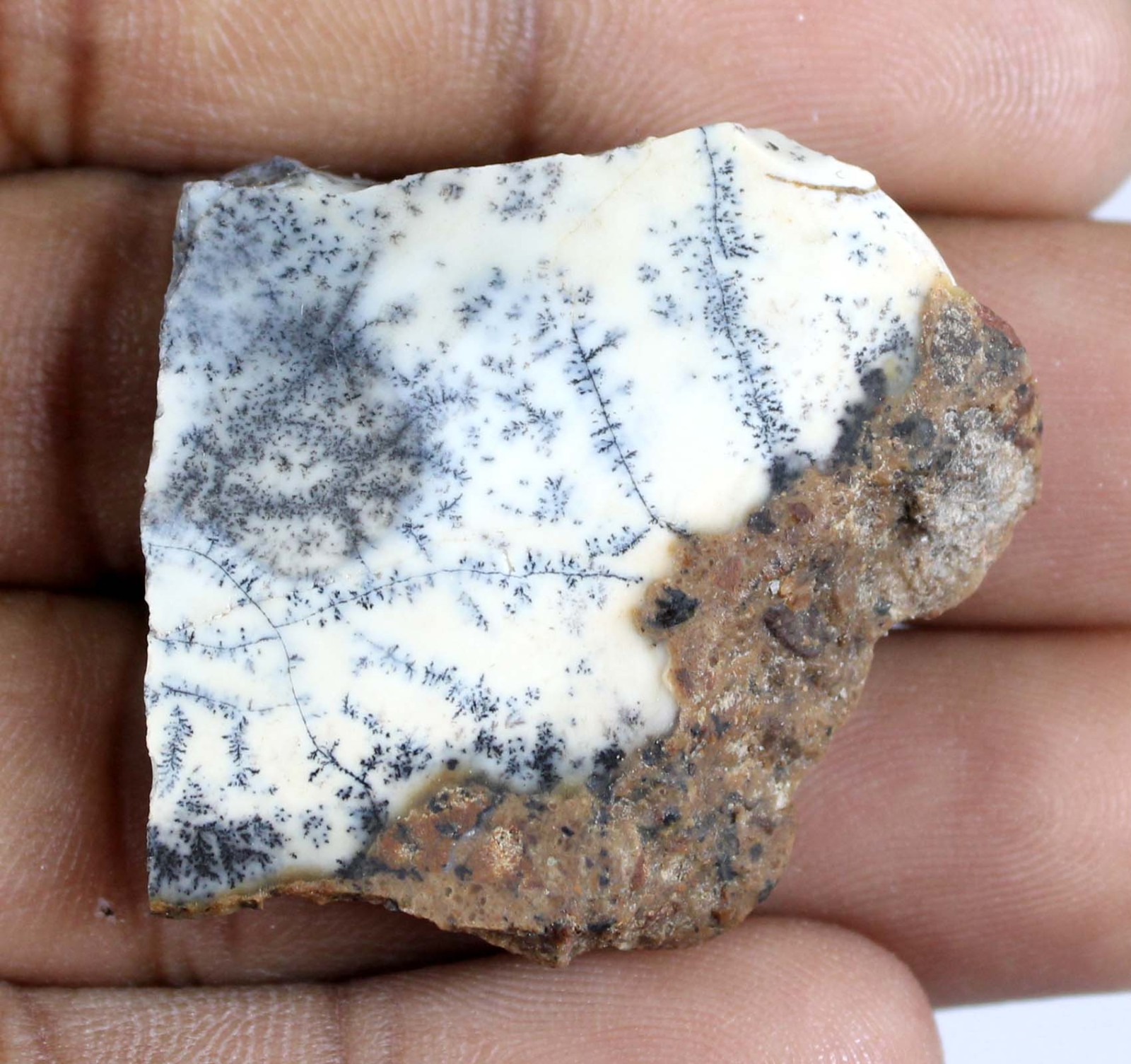 Natural Australian Dendrite Opal 44 Carat Gemstone Slab Rough Investment Grade