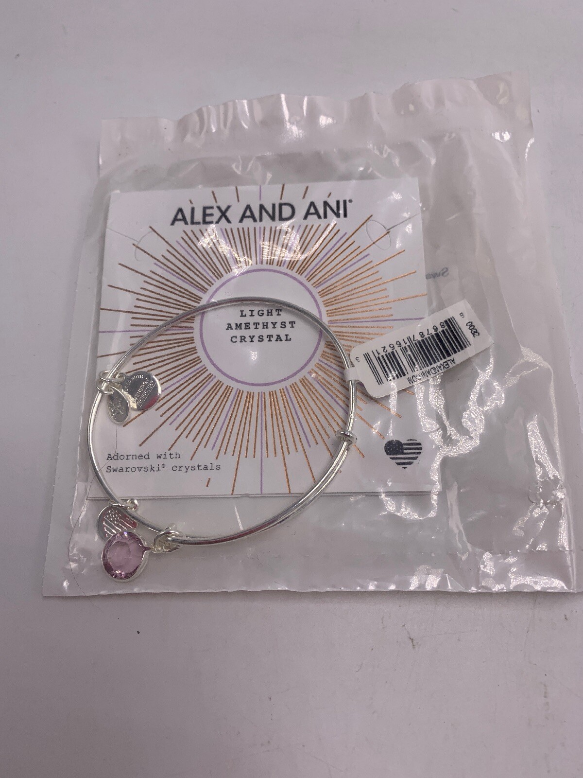 Alex and Ani June Color Code Amethyst Bangle Bracelet Shiny Silver T1a