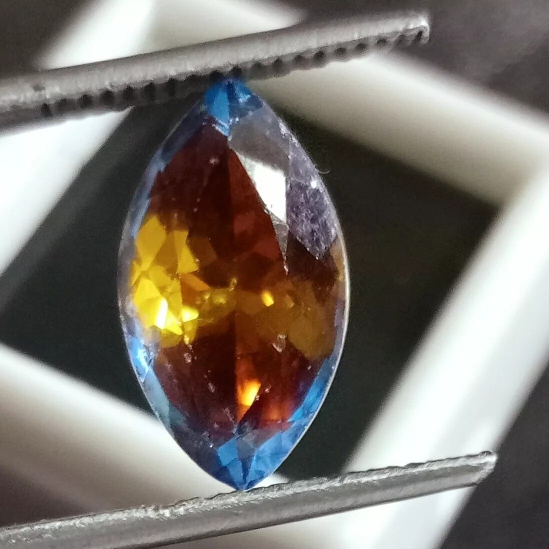 Pitambari Sapphire Marquise Cut 10-12 Ct Bi-Color Natural EGL Certified Gemstone