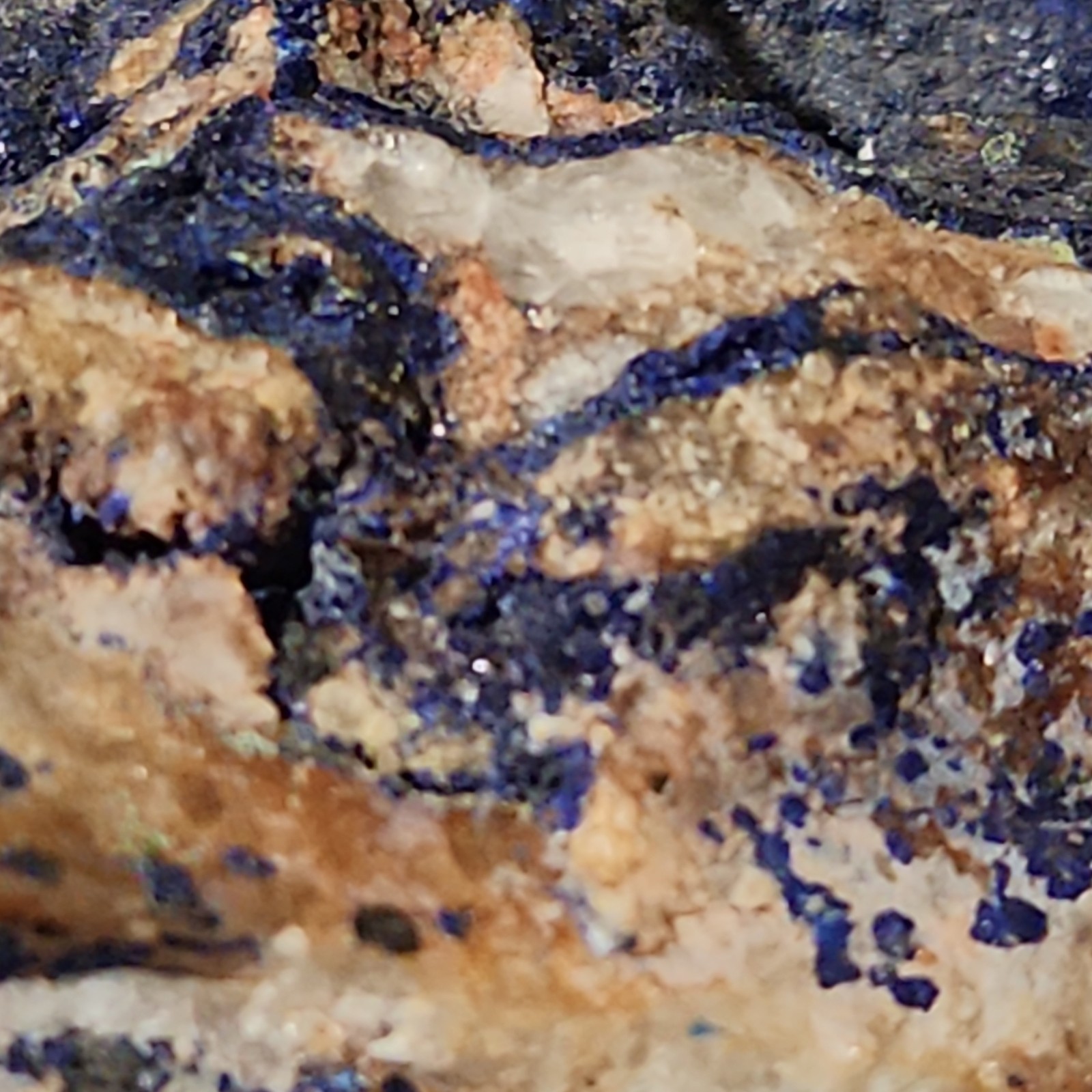 David Taliman Lone Mountain Turquoise Red Coral SS .925 S7-7.5 Azurite Specimen