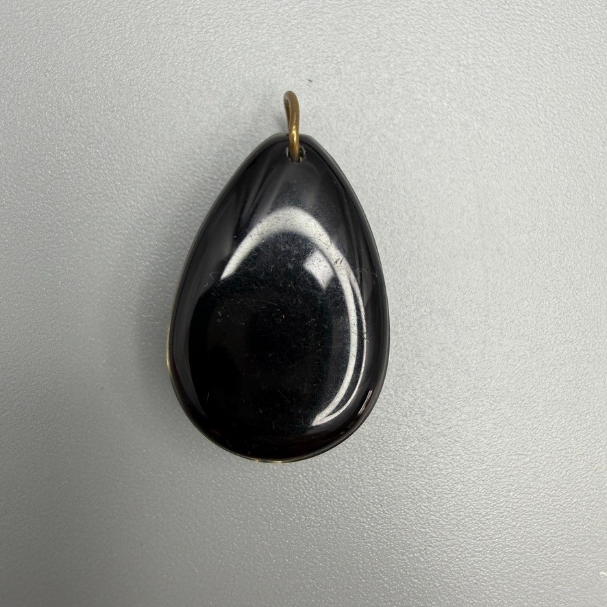 Ammonite Fossil in Clear Resin Teardrop Pendant Suspended