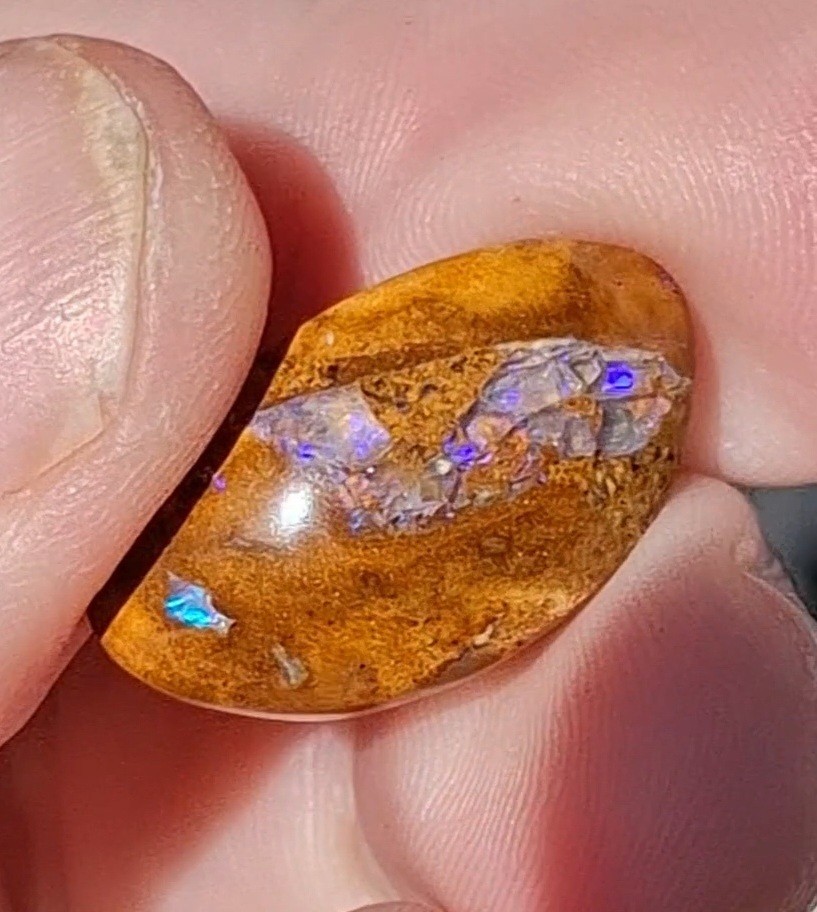 12.5ct Wood replacement Qld boulder opal. Vibrant iridescent blue & purple flash
