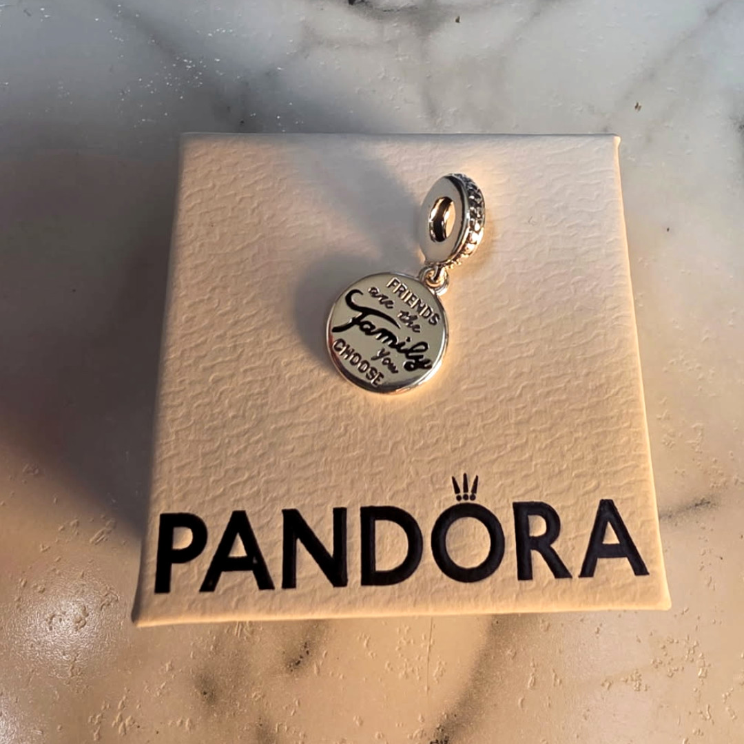 PANDORA Friends Are Family Dangle Charm – Silver (798124EN16)