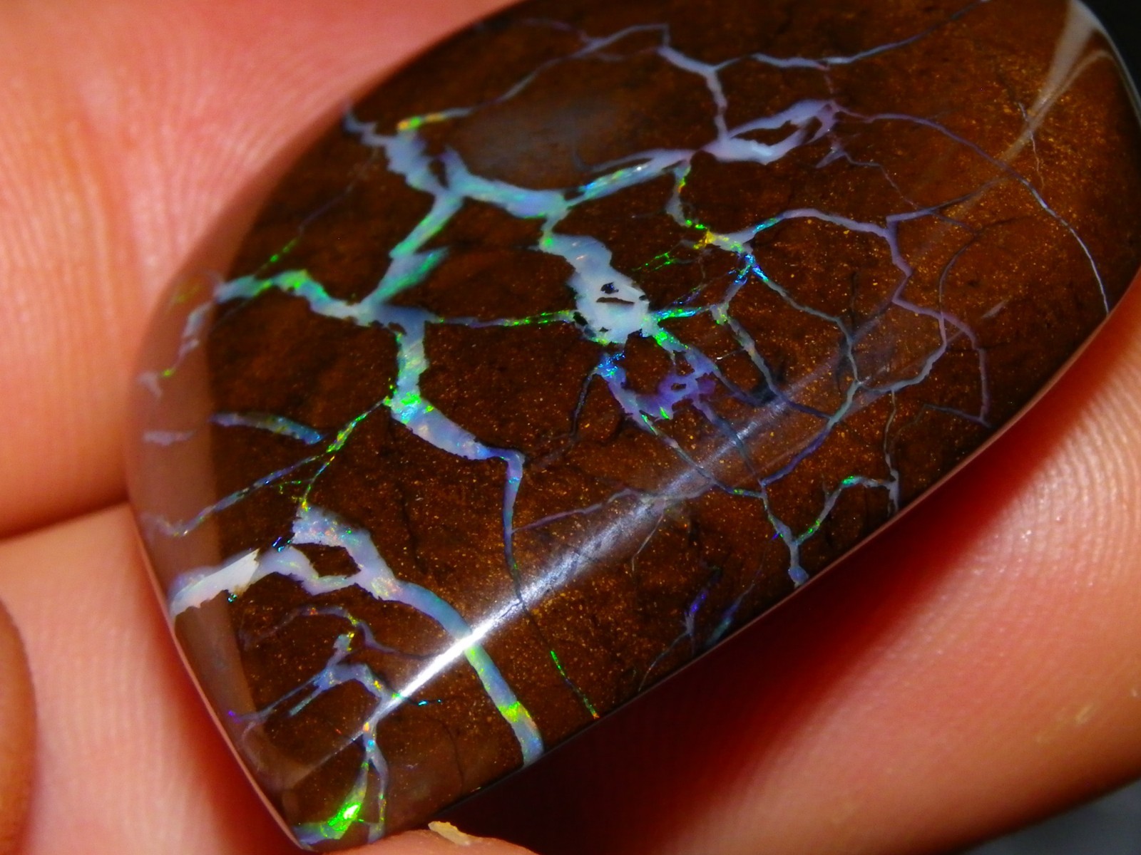 Quality Opalton Boulder Matrix Opal Freeform Cab 128.78cts Multicolour/Veins Qld
