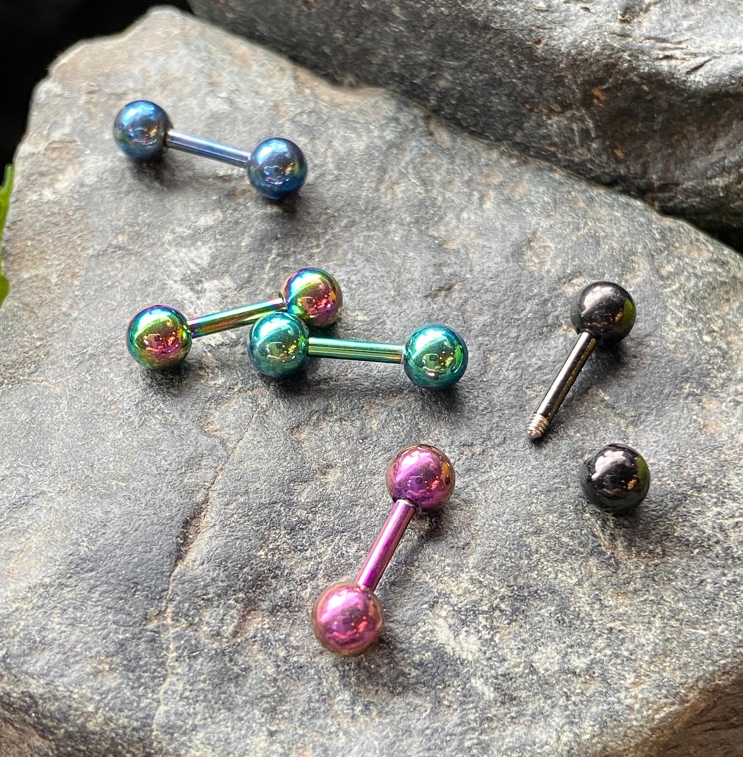 5pc Value Pack Titanium Plated Tragus Barbell Studs Cartilage Helix 16g 1/4″ 6mm