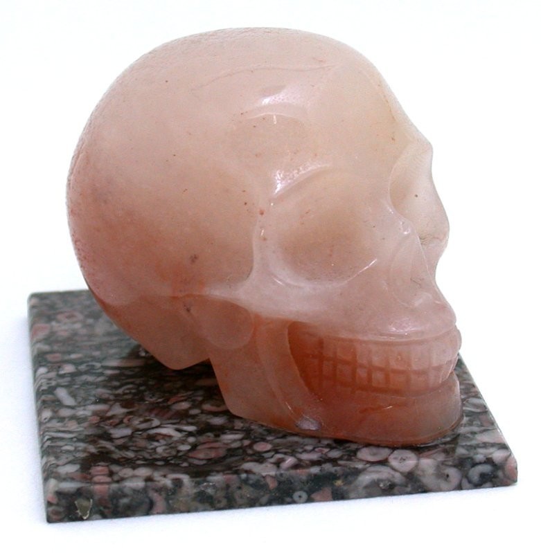 101 Gram 1 3/5 x 2 x 1 2/5 Inch Agate Skull Carving On Fossil Base EC43/9625