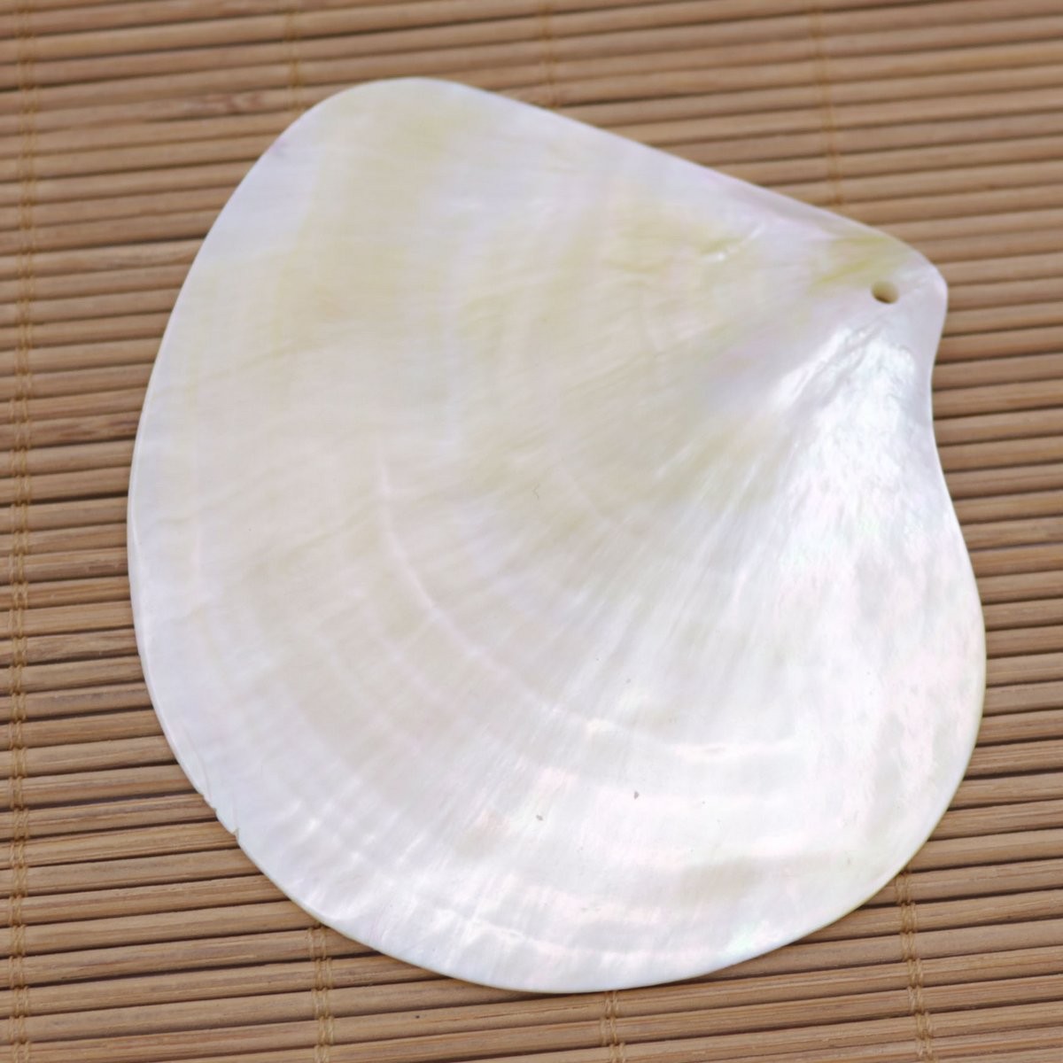 80mm-85mm Natuarl Golden Lip Shell Mother of Pearl Top Hole Charms Pendants