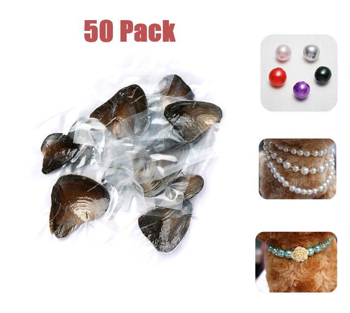 50pack Individually Wrapped Oysters w/ Natural Pearl Inside DIY Multicolor Beads