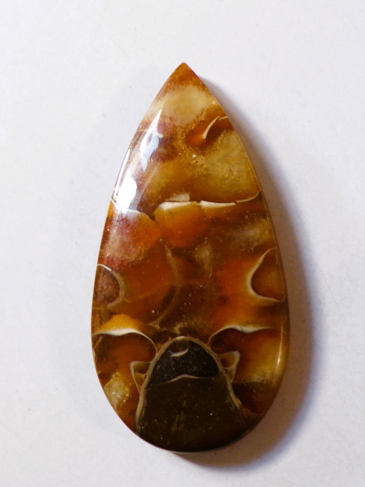 101.60 Cts Natural Ammonite Cabochon Loose Gemstone 58.4X29X7MM