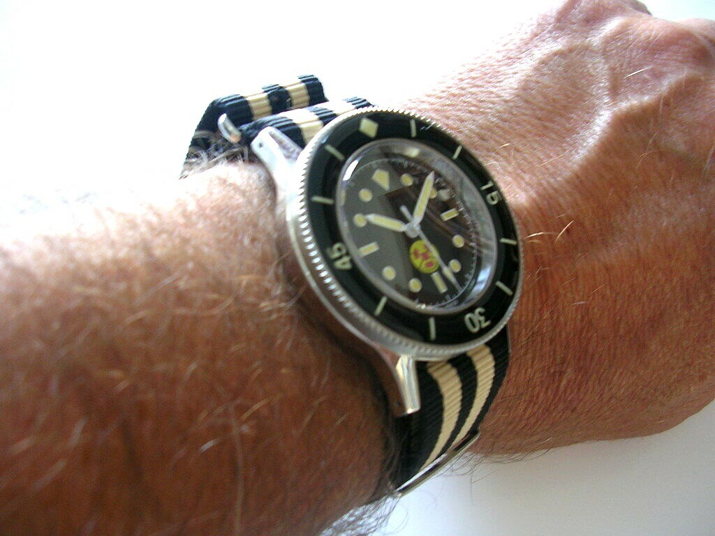 18 20 22 24 NATO G10® watchband strap Ballistic nylon RAF bond Military IW SUISS