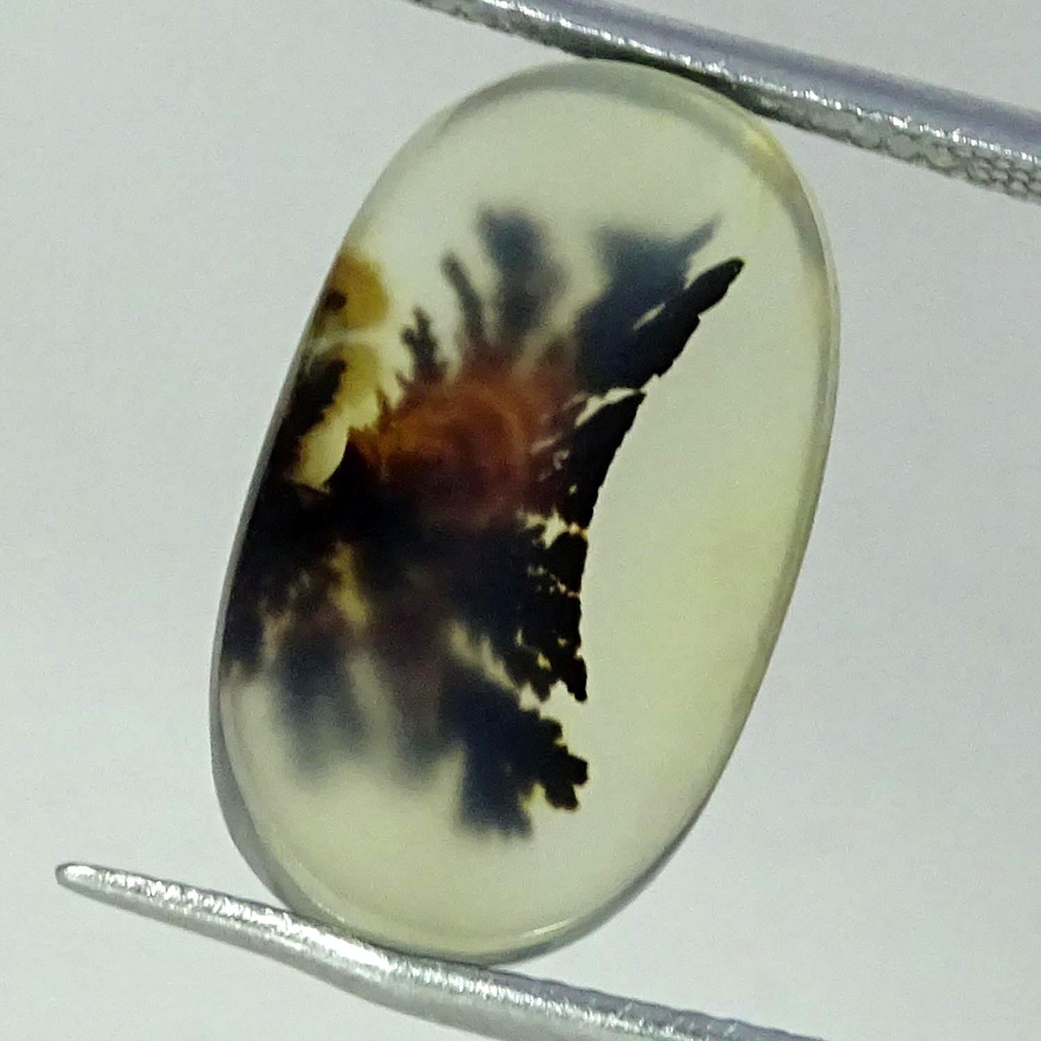 6.40Cts. Natural Shazar Dendrite Agate Oval Cabochon Gemstone 11X19X3MM