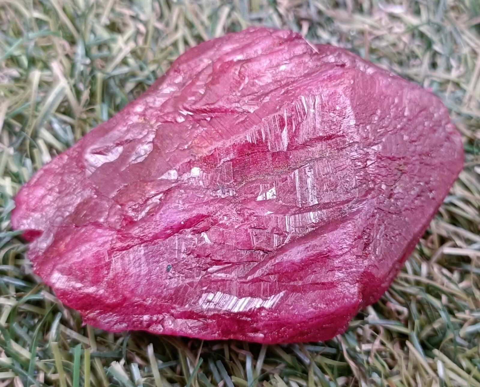 DYED 482 CARAT NATURAL RED RUBY EGL CERTIFIED UNCUT ROUGH TRANSLUCENT GEMSTONE