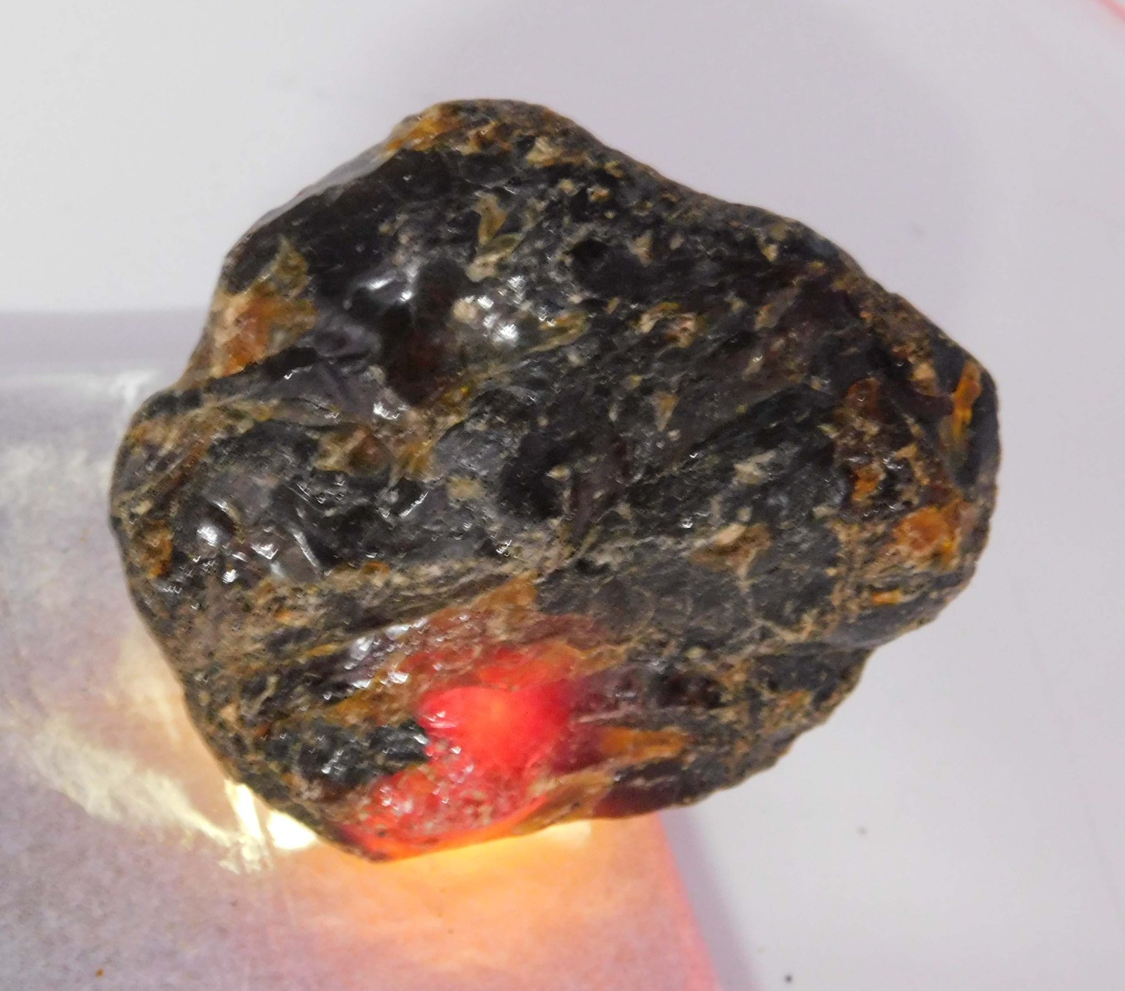 CERTIFIED 48.45 Ct Natural Orange Rough Uncut Amber Excellent Loose Gemstone