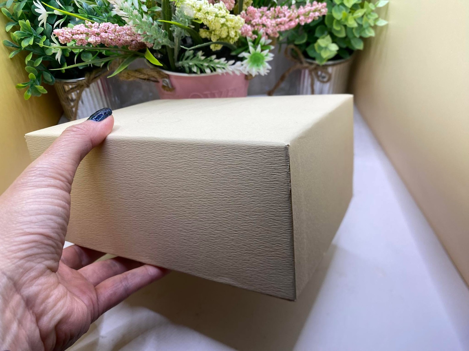 Rolex Outer Box Only Cream/White for Watch Box