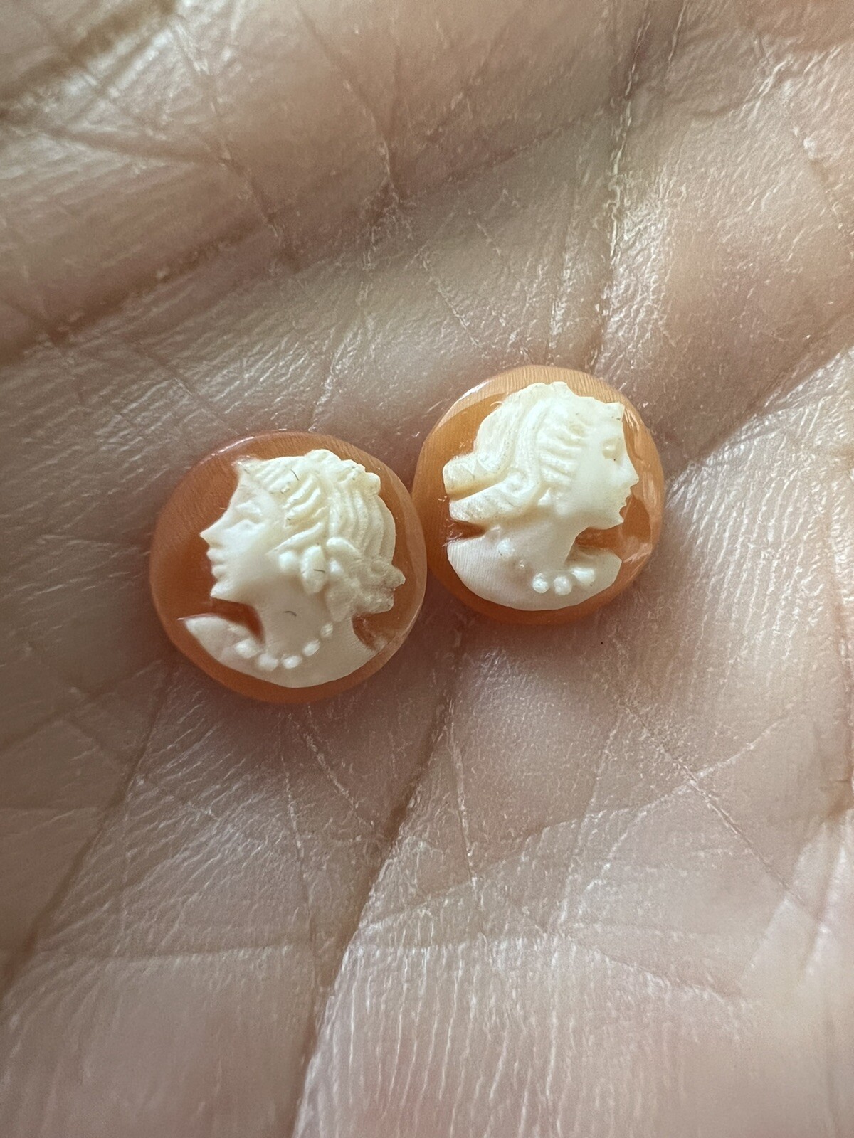Stunning Antique Shell Cameo Earrings Pieces
