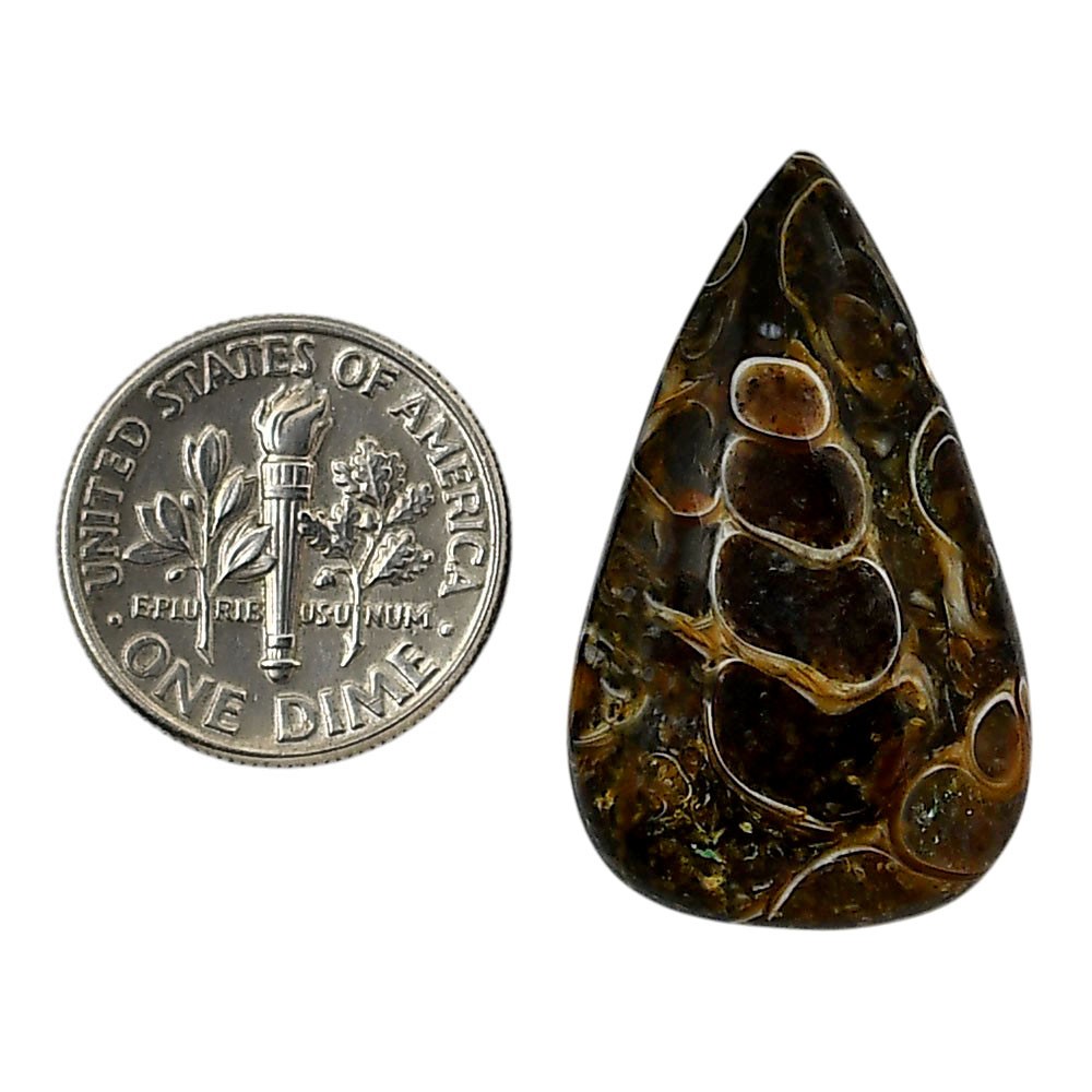 Natural Turtella Jasper 18.2×30.6×5.8 mm Pear Shape Polished Gemstone LS70-05785