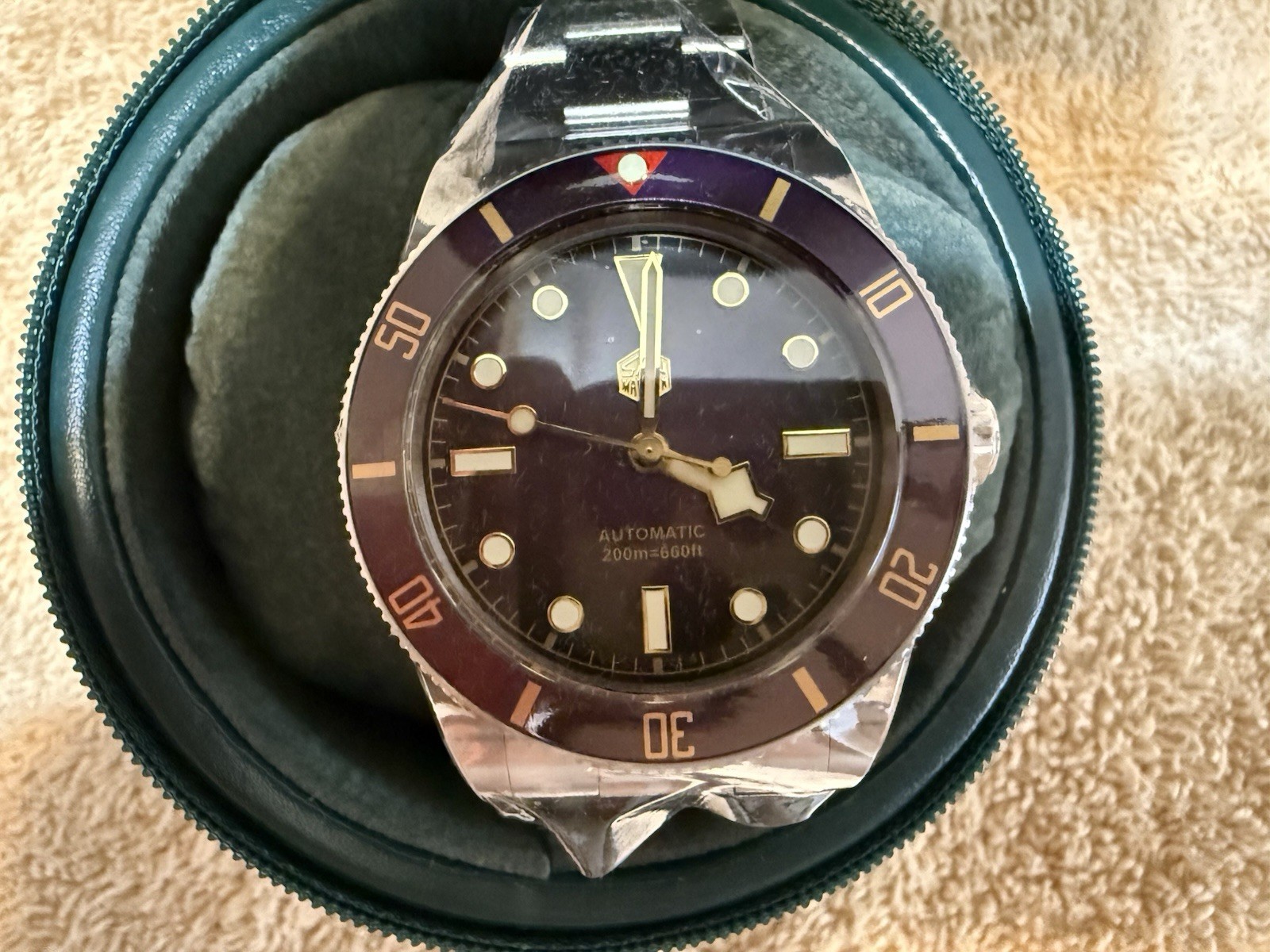 San Martin 37mm 20Bar Automatic ST2130 Sea-Gull Movement Purple Dial