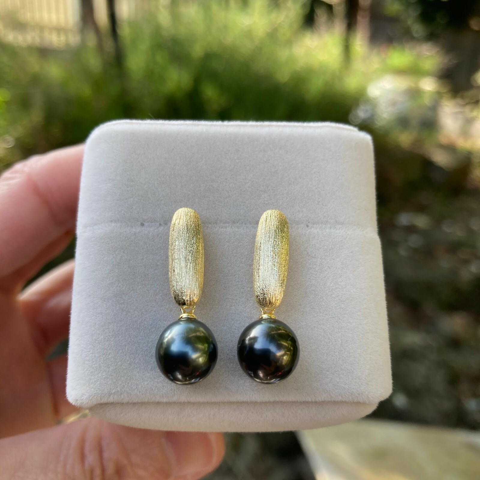 8.5~9mm Black Tahitian Pearl sterling Silver Gold coated 26mm Earring Dangle 184
