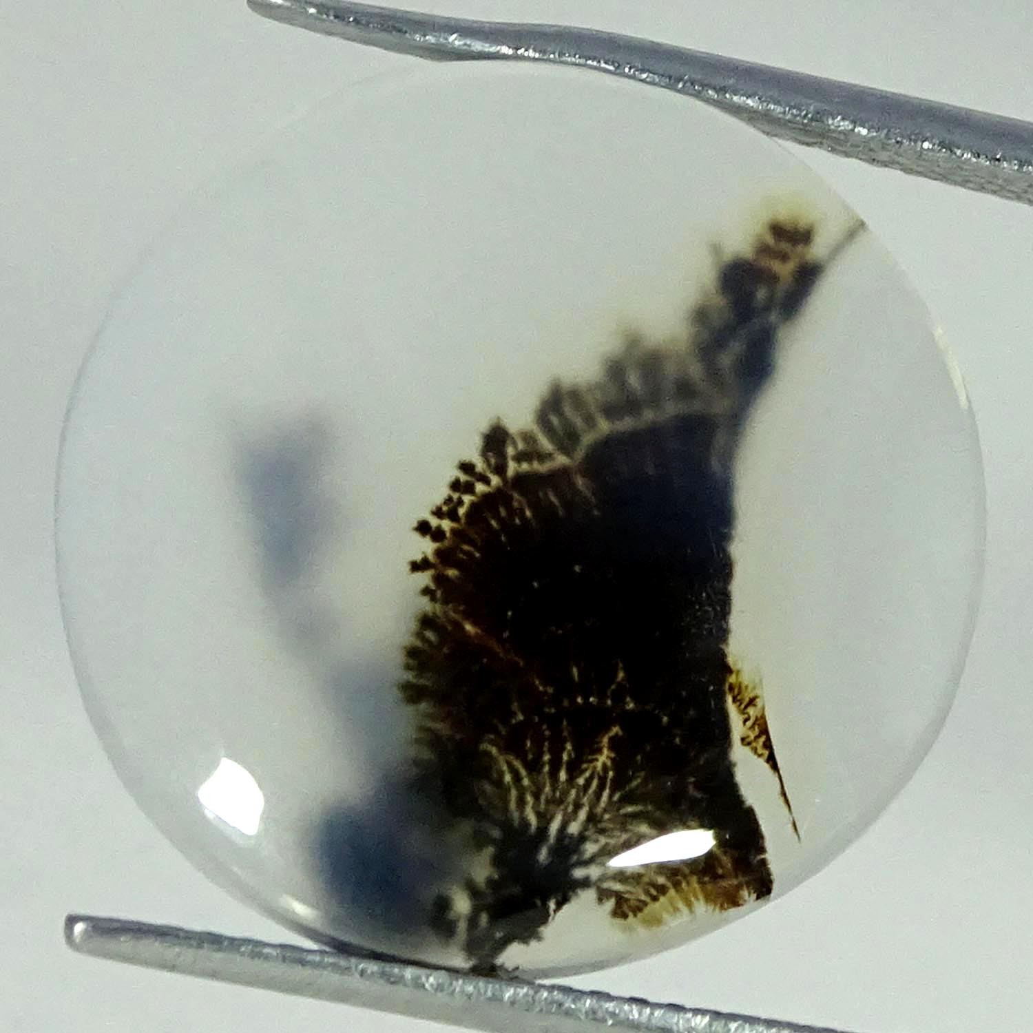 9.80Cts. Natural Shazar Dendrite Agate Round Cabochon Gemstone 19MMX3MM