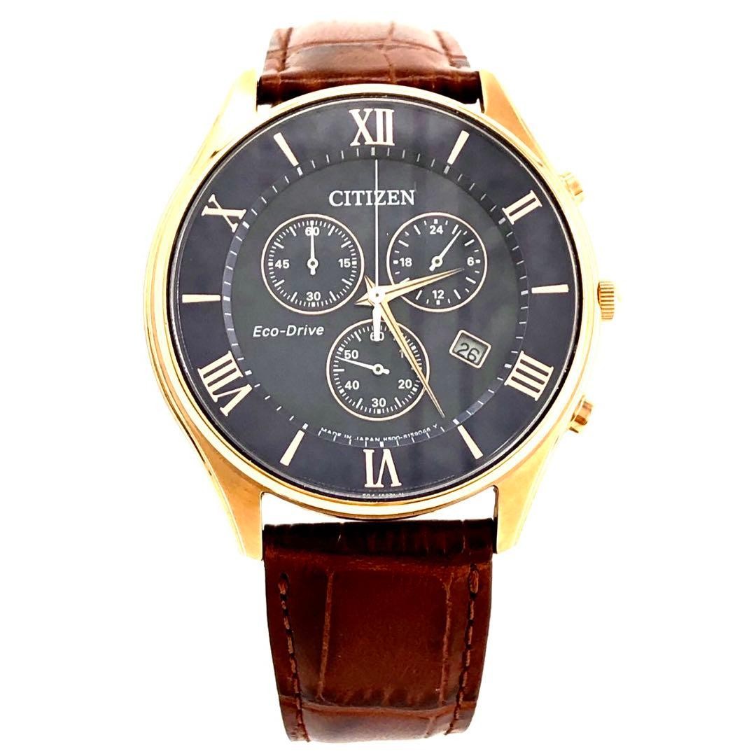 Citizen Eco-Drive H500-S107318 Solar Radio Brown Roman Numeral Watch 075520