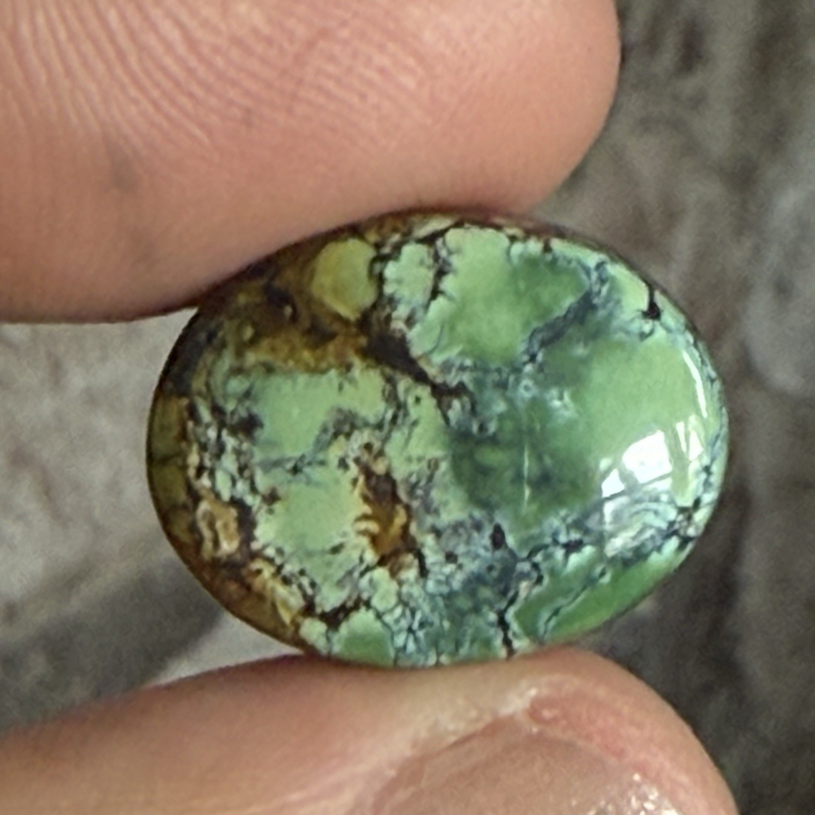 14.10ct 18.7c14.7×6.5mm Green Qingu Mine Turquoise Oval Cabochon Backed Stone