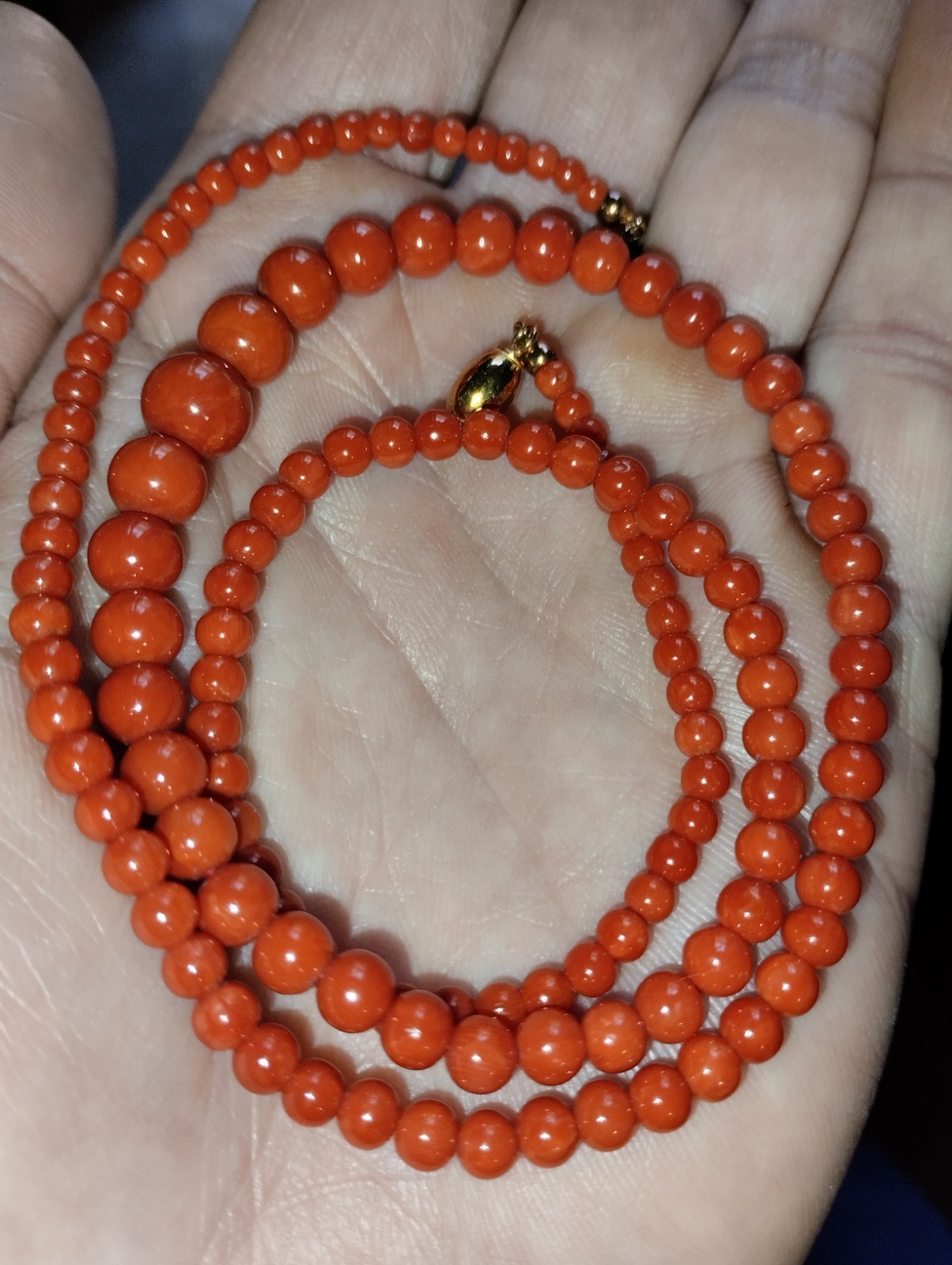 Mediterranean Coral Necklace Sardinia Gold Clasp 750 Corallium rubrum