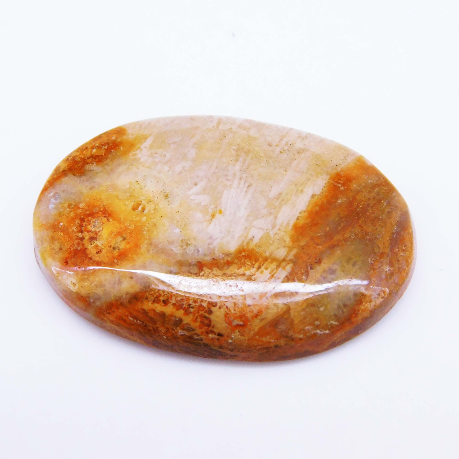 40.55 Ct Natural Fossil Coral Certified Untreated Loose Gemstone