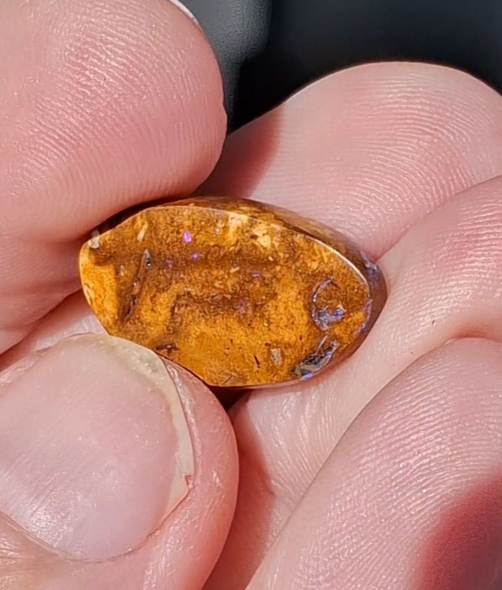 12.5ct Wood replacement Qld boulder opal. Vibrant iridescent blue & purple flash