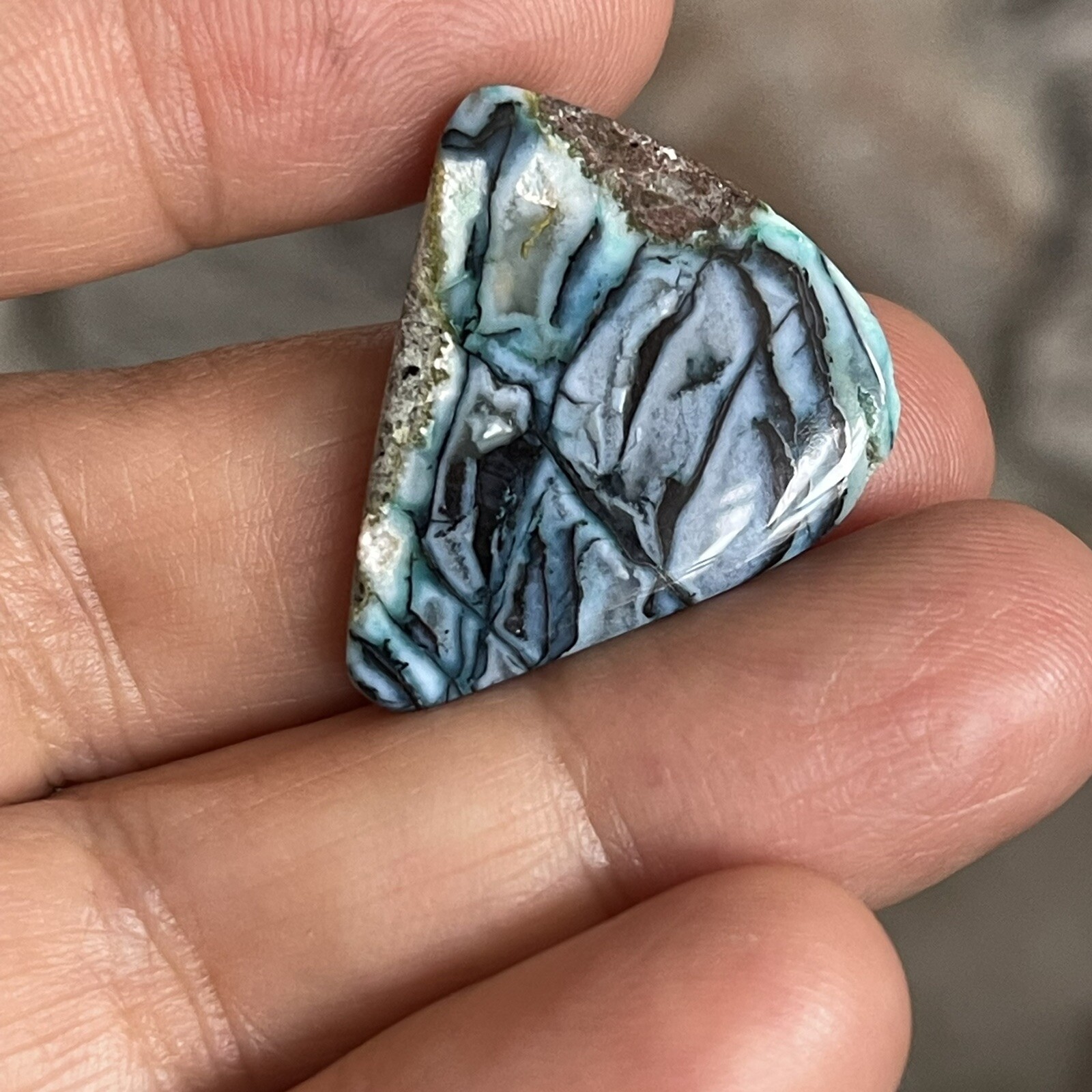 26.5×21.6x5mm Rare Agatized Wood Colorful Chrysocolla Cabochon Picture Stone