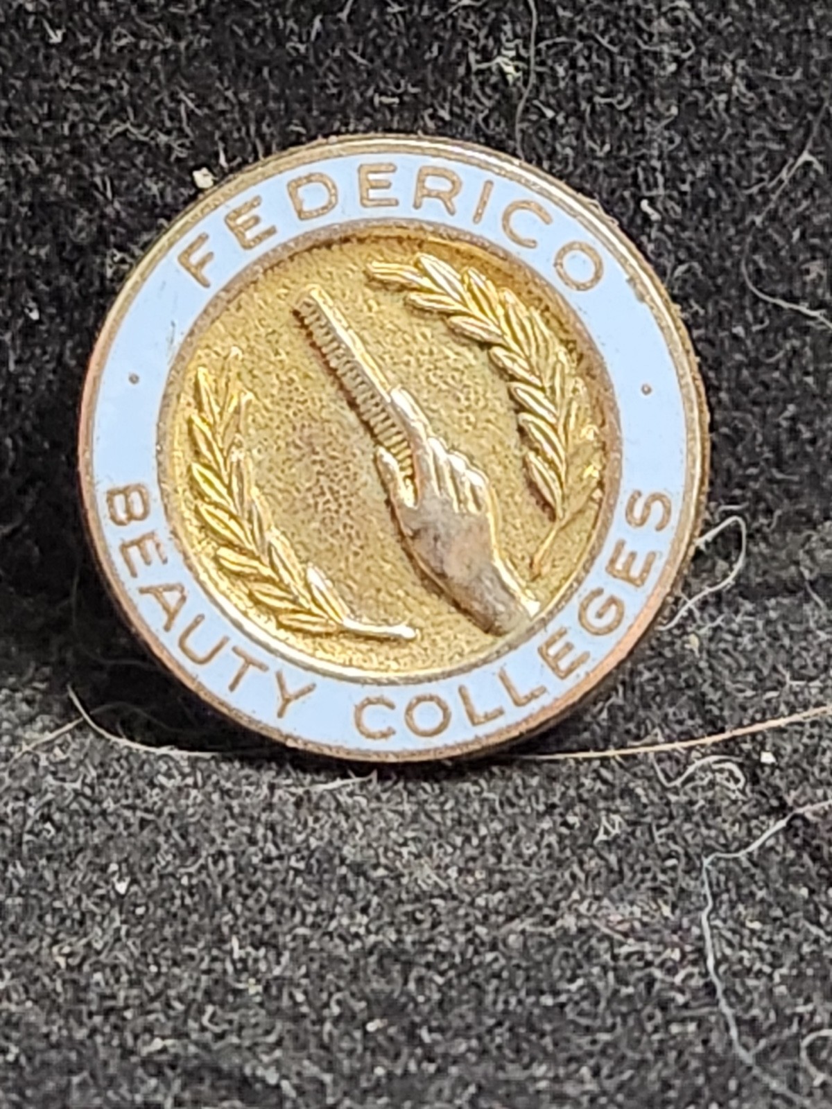 Federico Beauty Colleges Heinrich LA Gold Tone Award Pin 0.75 Inch S1