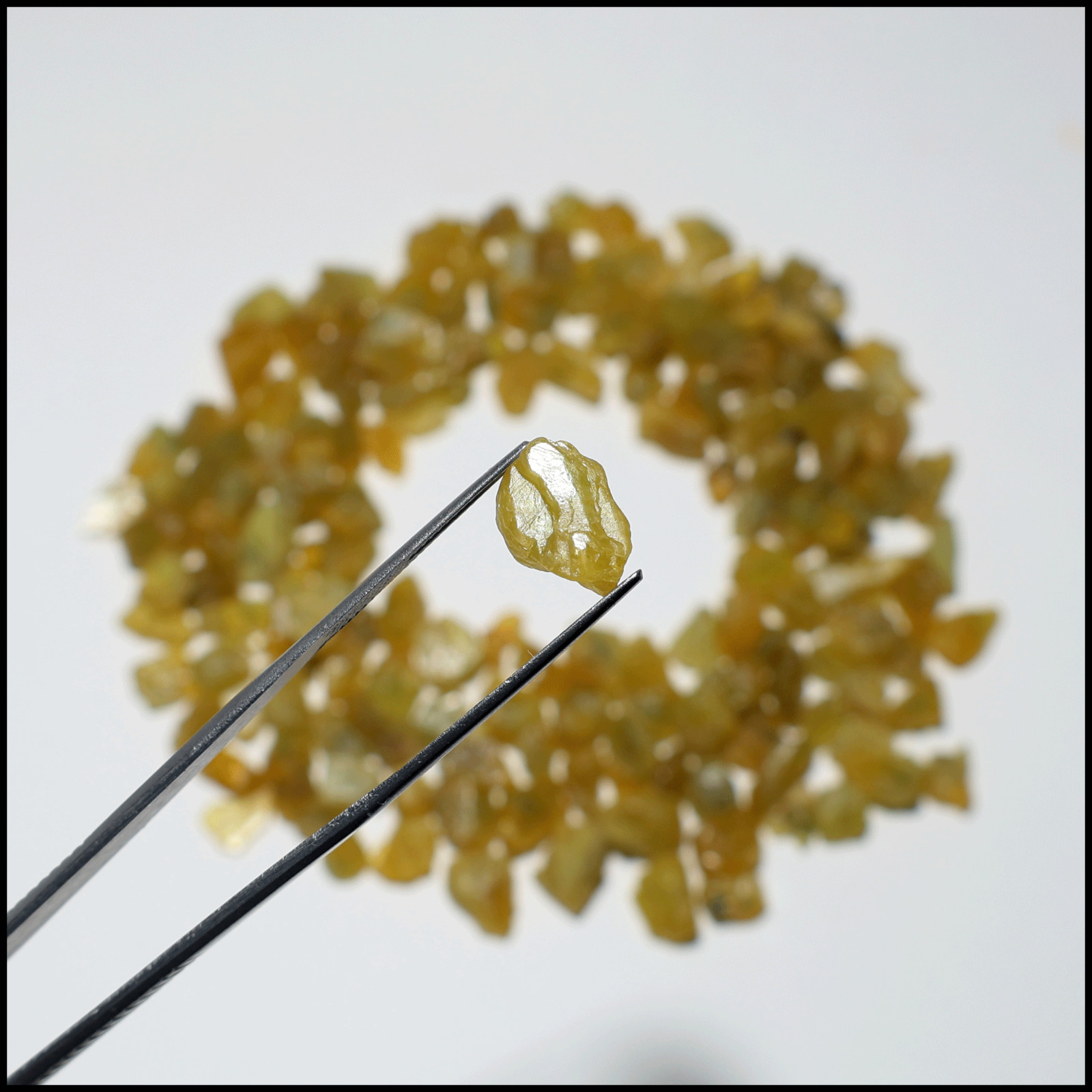 African Gold~ 173 PC Nigerian Yellow Sapphire Untreated 5mm-12mm Rough Gemstones