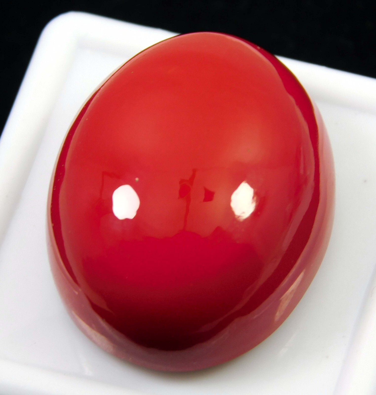 34.45 Ct Natural Italian Red Coral Oval Cabochon Cut Loose Gemstone