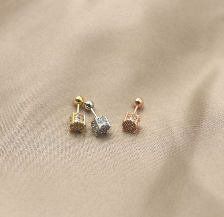 2Pcs Silver Gold Stainless Steel Round CZ Screw Back Stud Earrings 6mm PE27