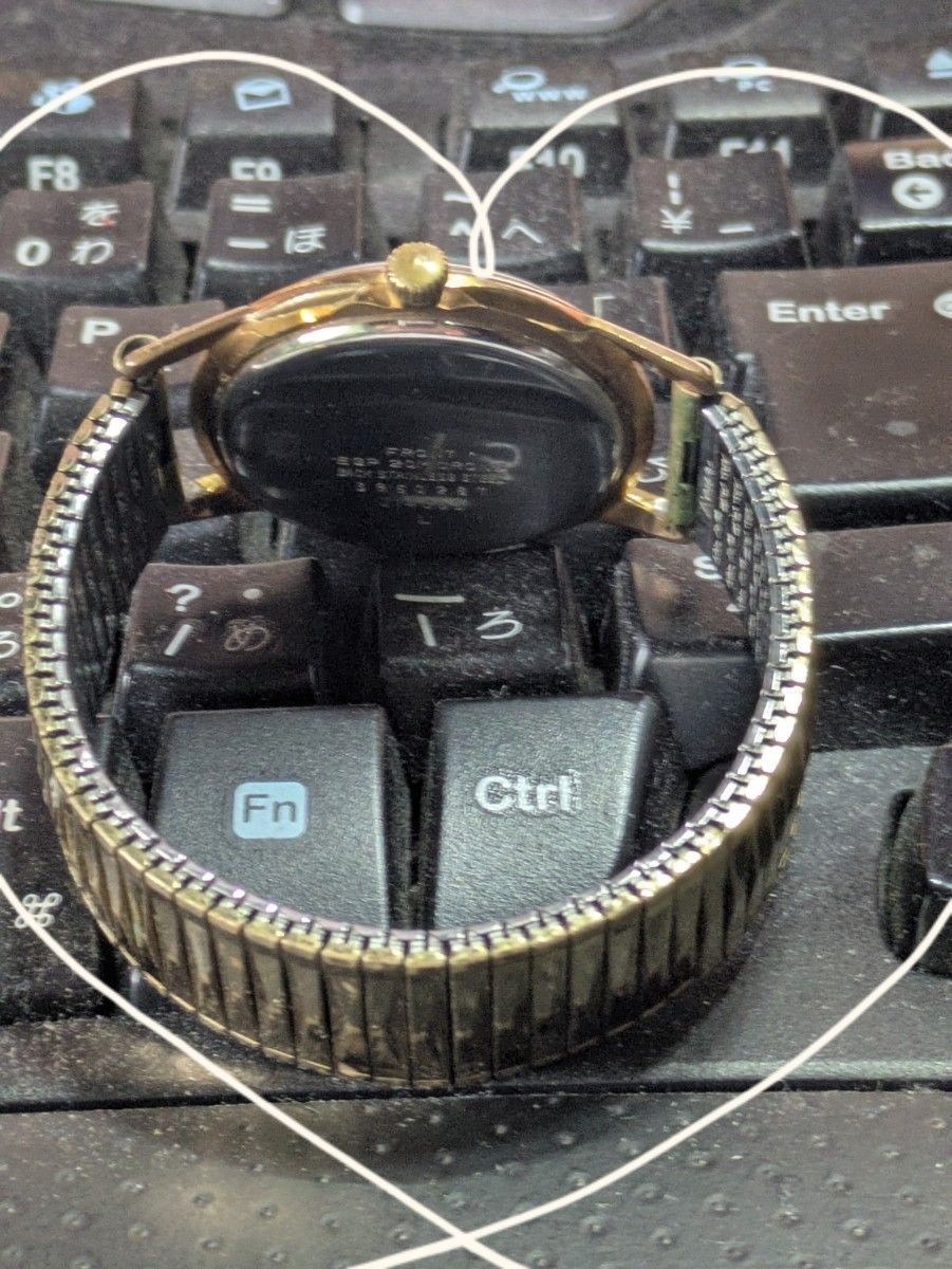 Seiko Champion Diashock 17 Jewels 20 Microns EGP Antique
