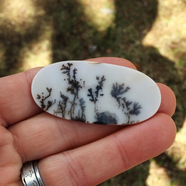 All Natural! Fine Quality Dendritic Agate India GLI